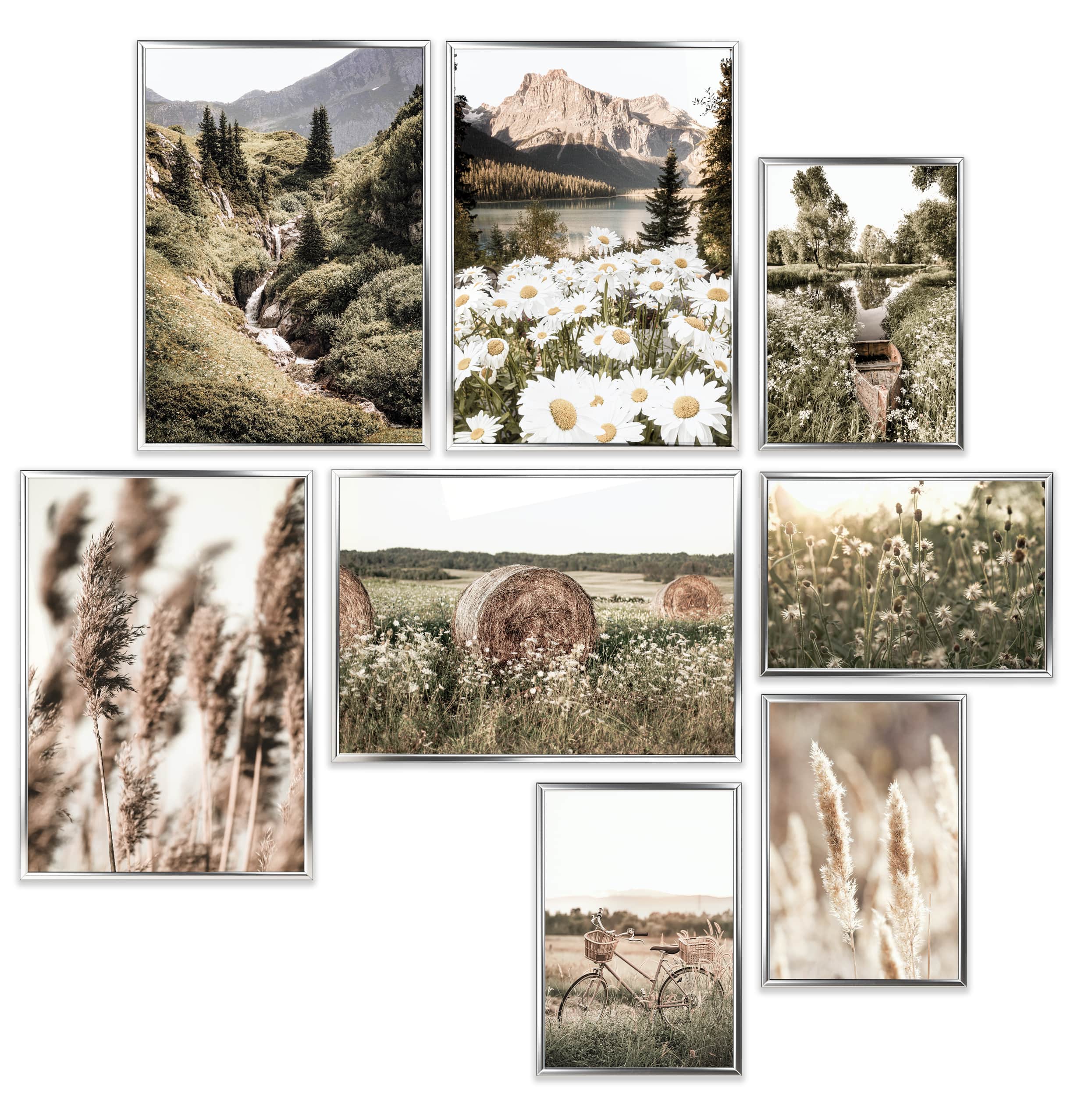 Pampasgras im Frühling