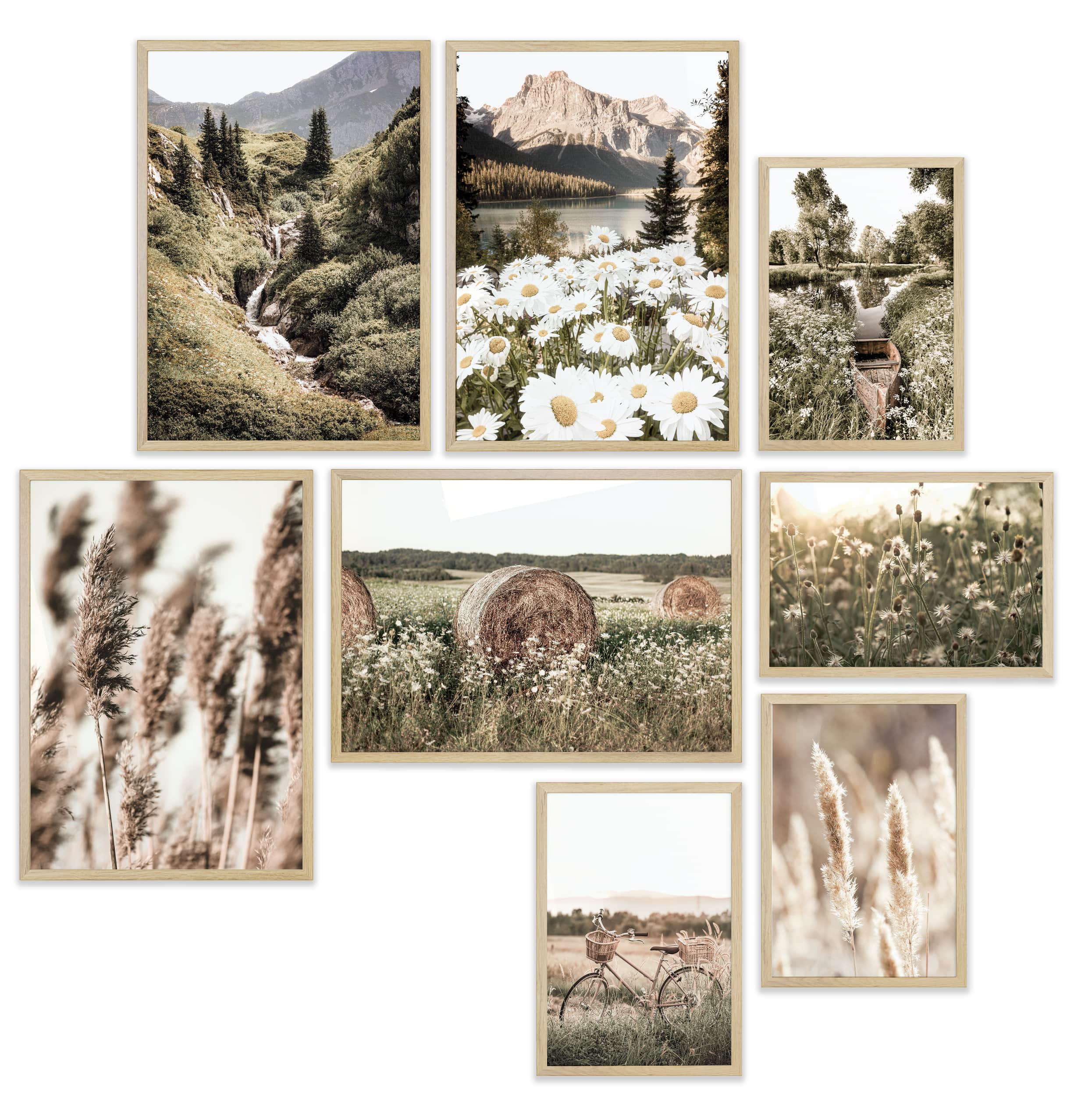 Pampasgras im Frühling