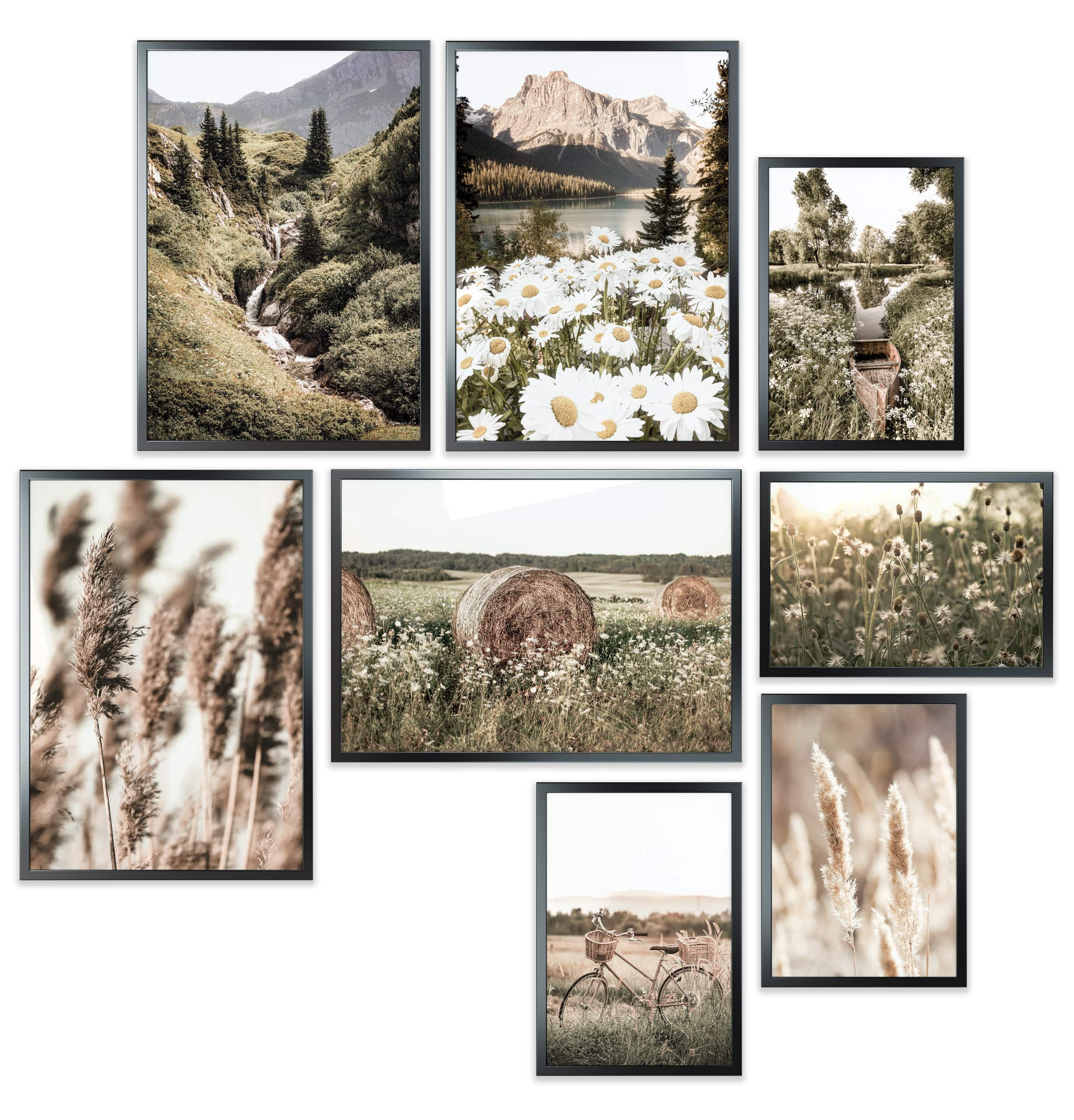 Pampasgras im Frühling