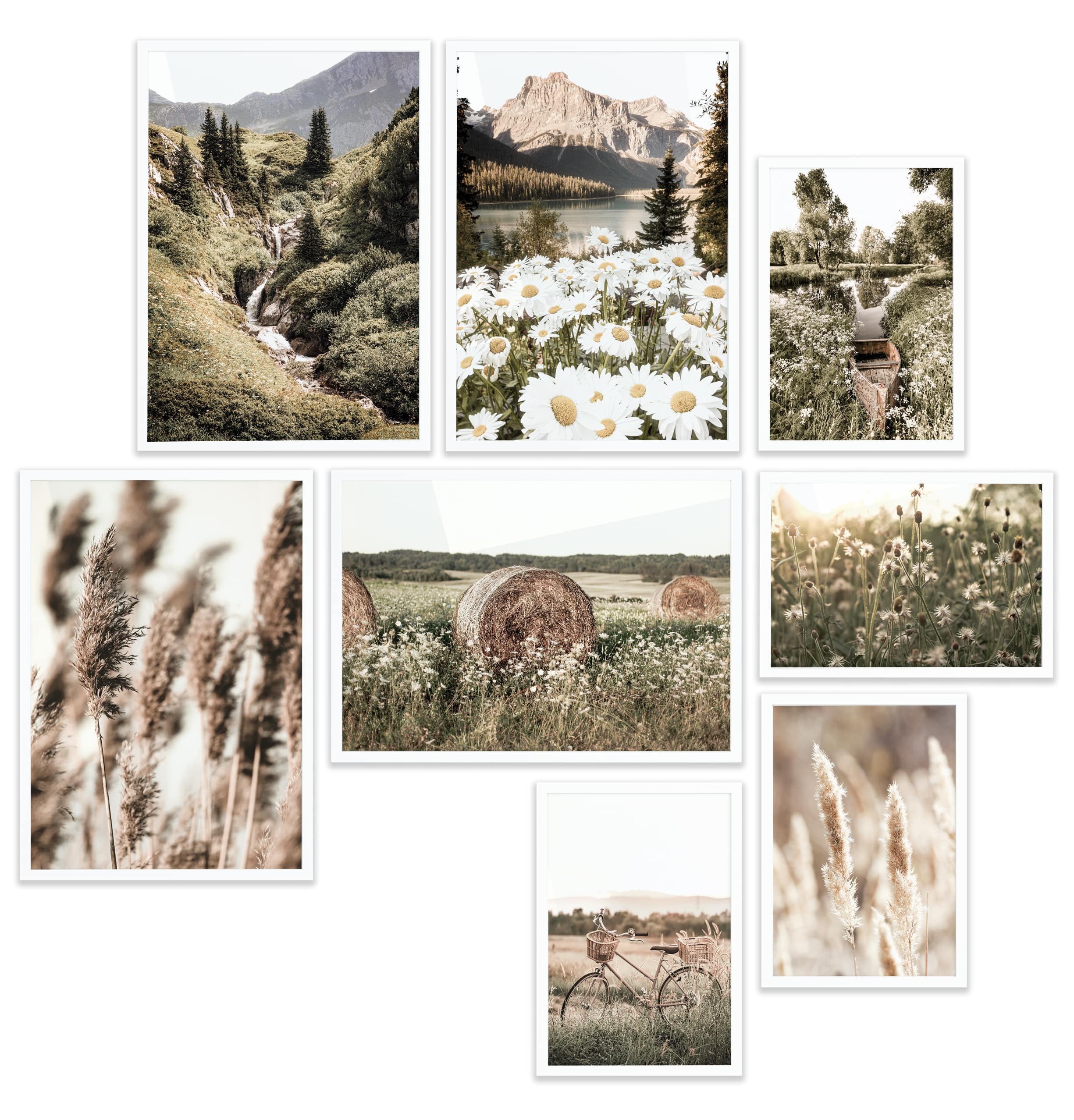 Pampasgras im Frühling