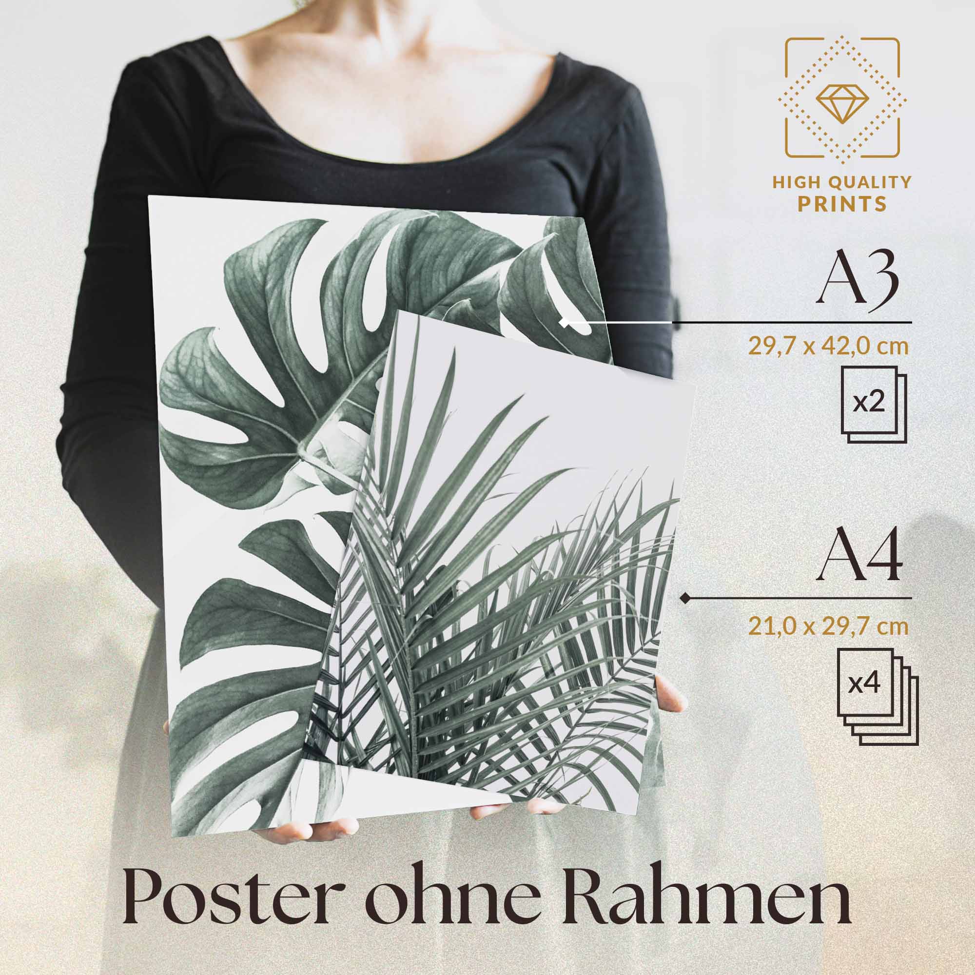 Palmen & Monstera