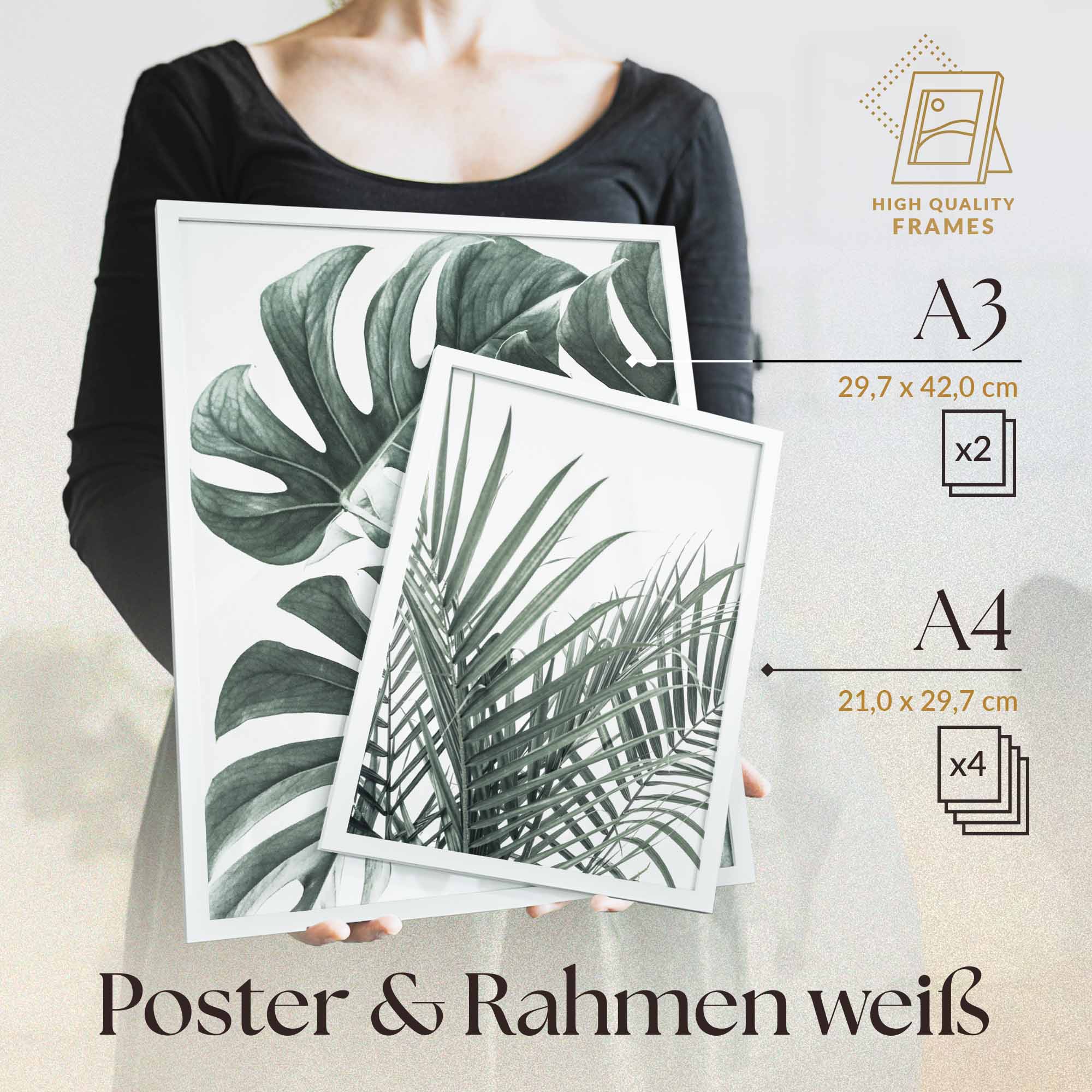 Palmen & Monstera