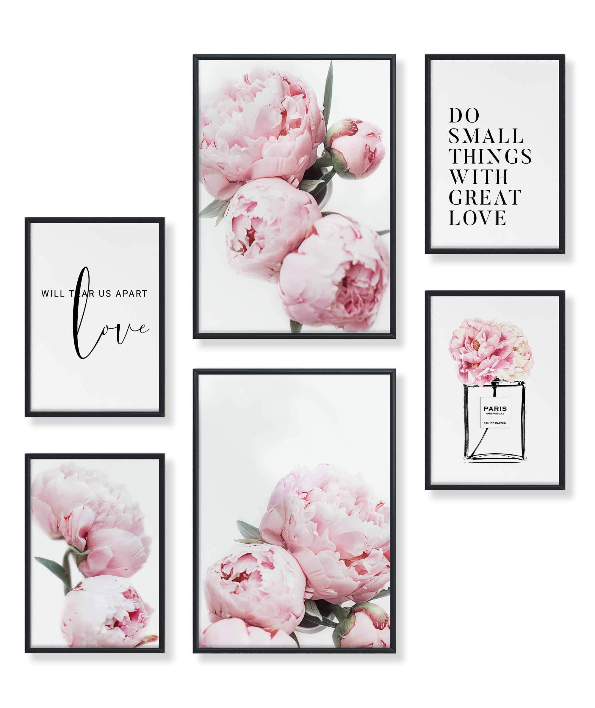Coco Pfingst-Rosen