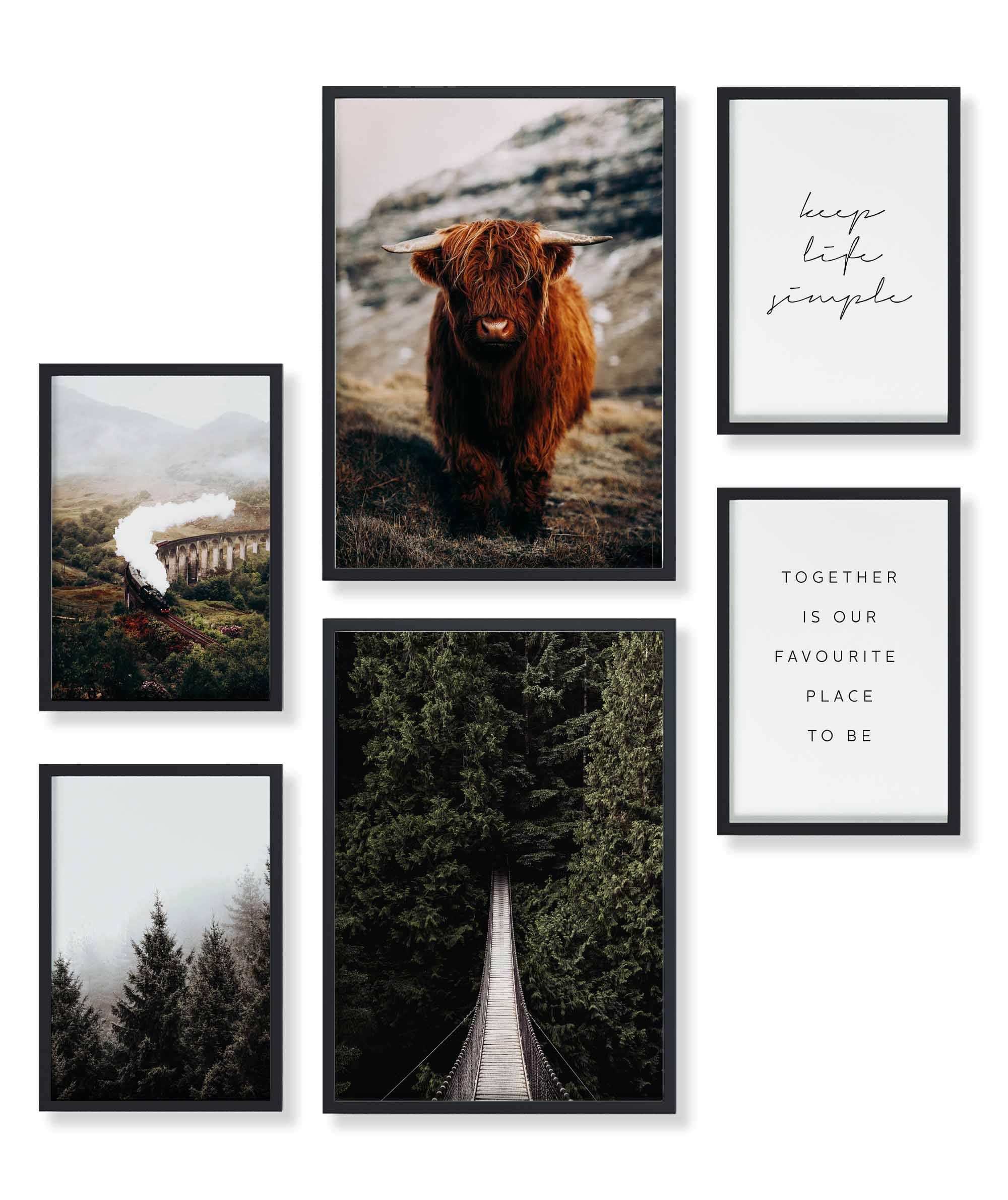 Highland & Forest