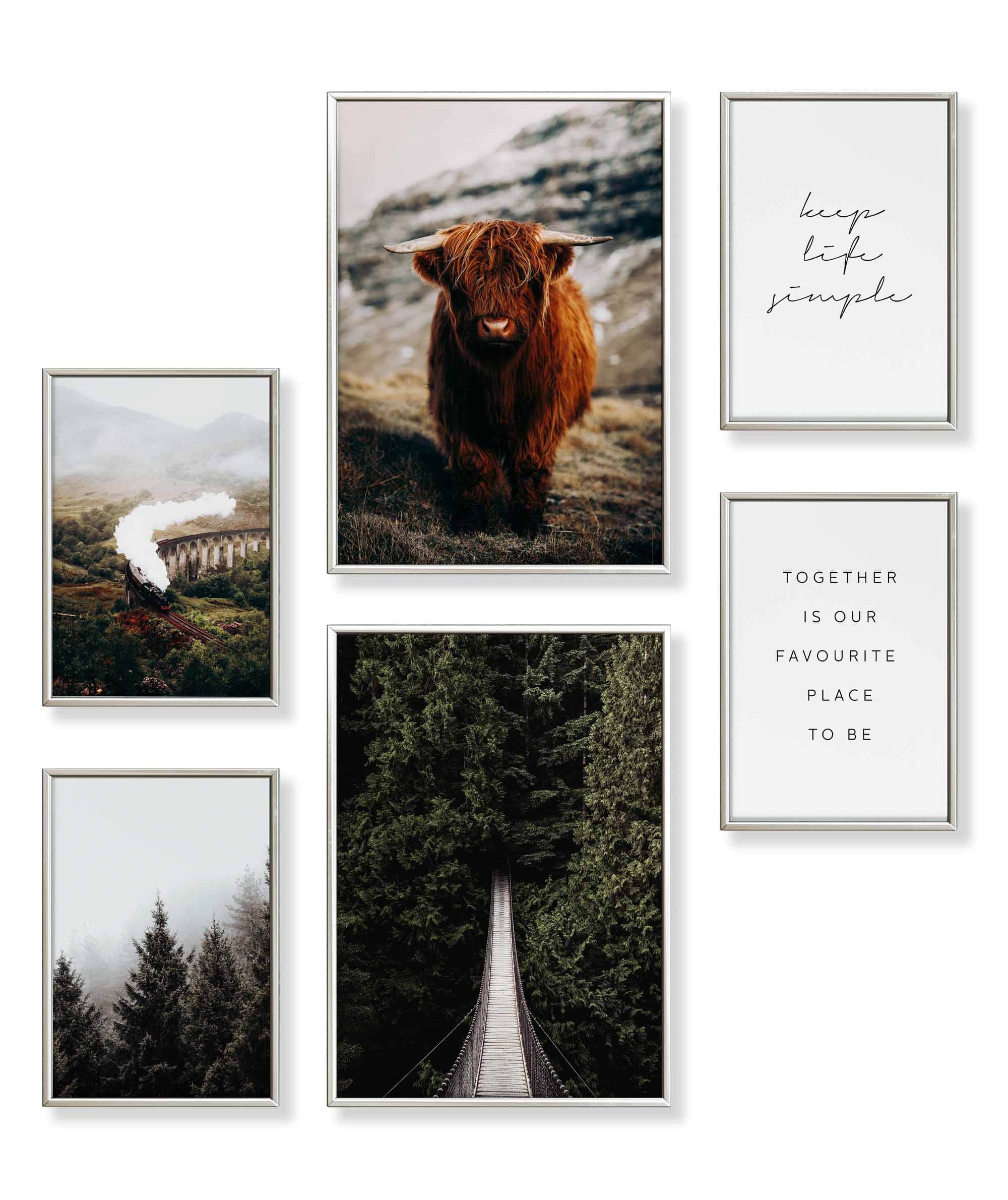 Highland & Forest