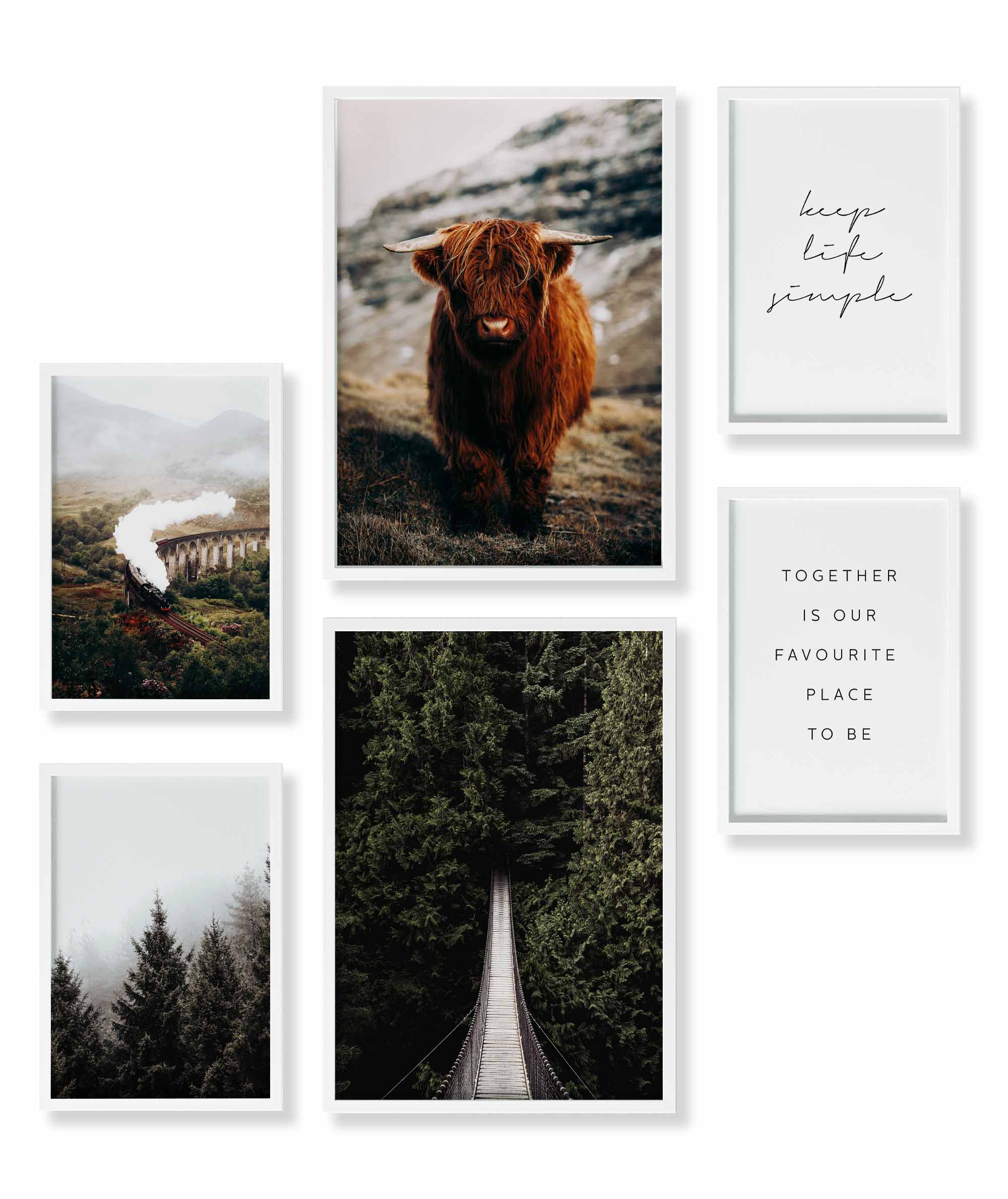 Highland & Forest