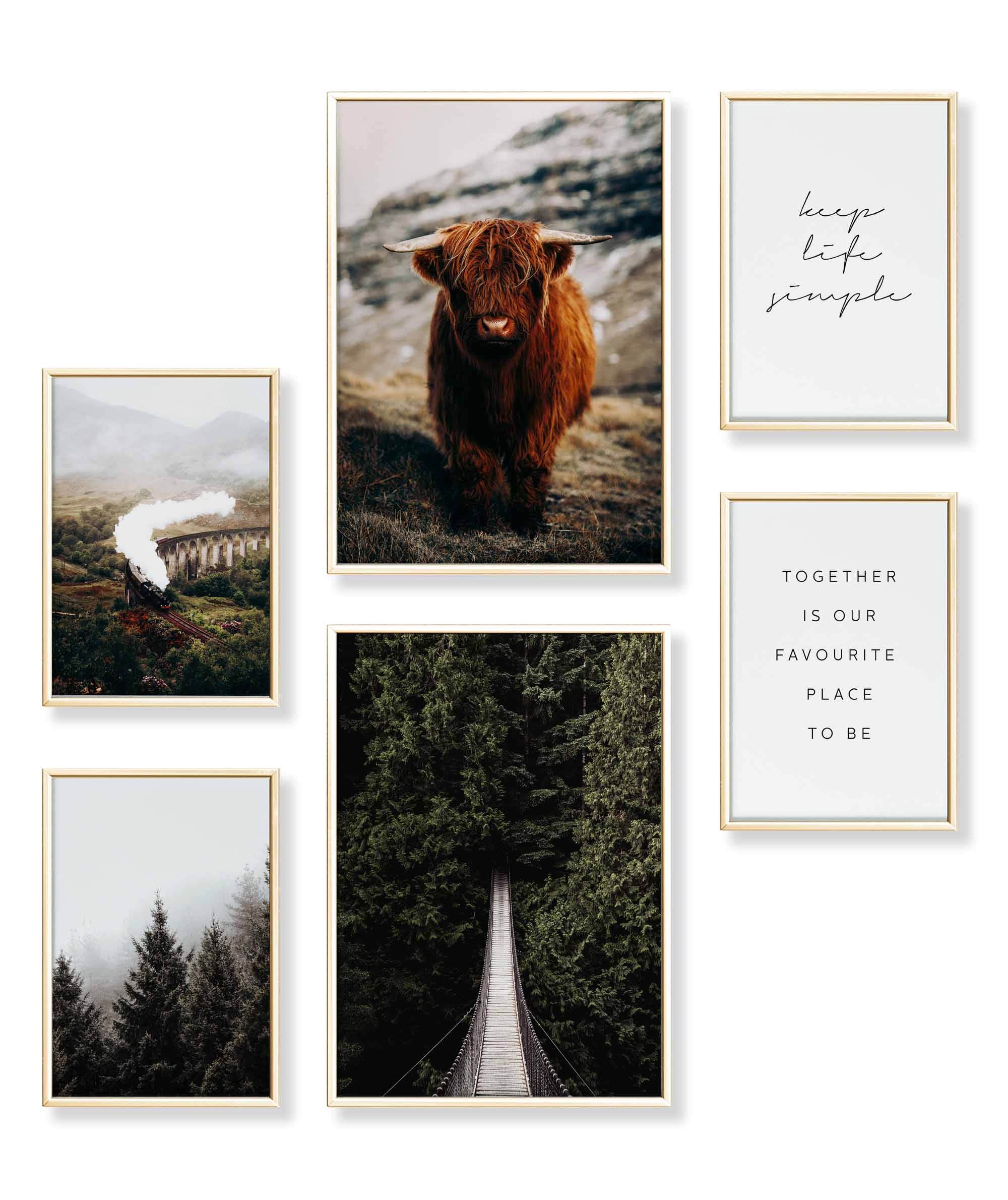 Highland & Forest