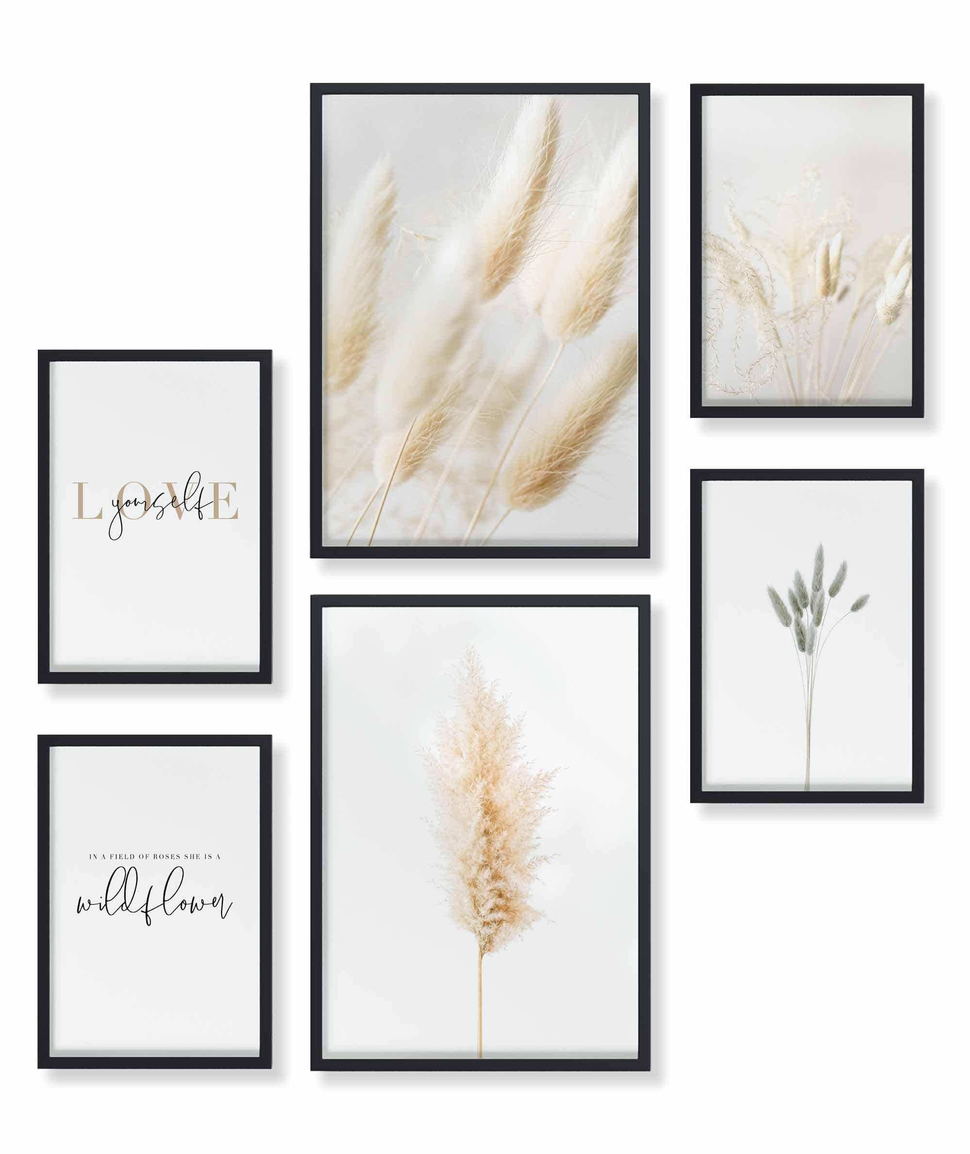 Pampas Gras