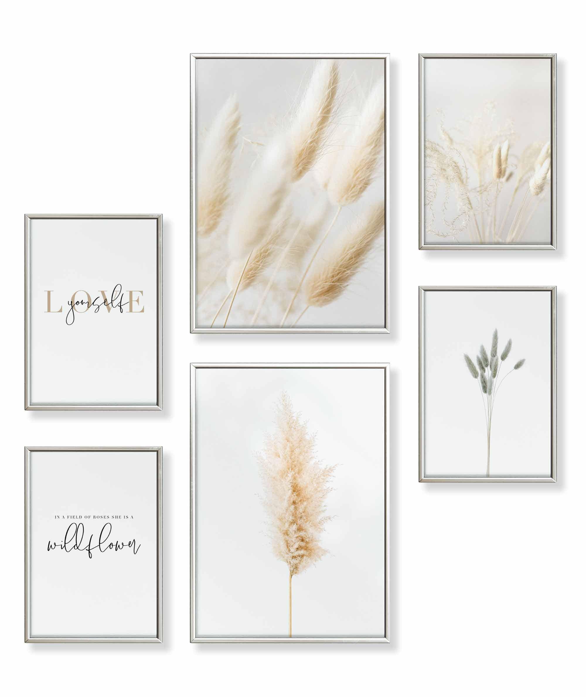 Pampas Gras