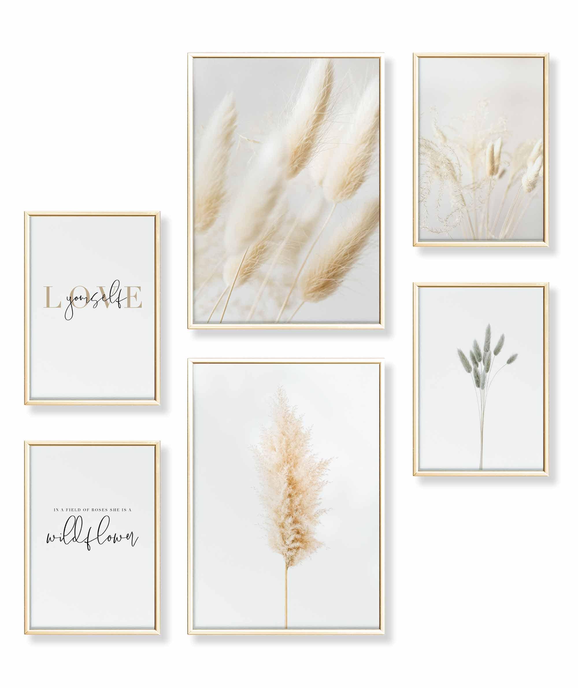 Pampas Gras