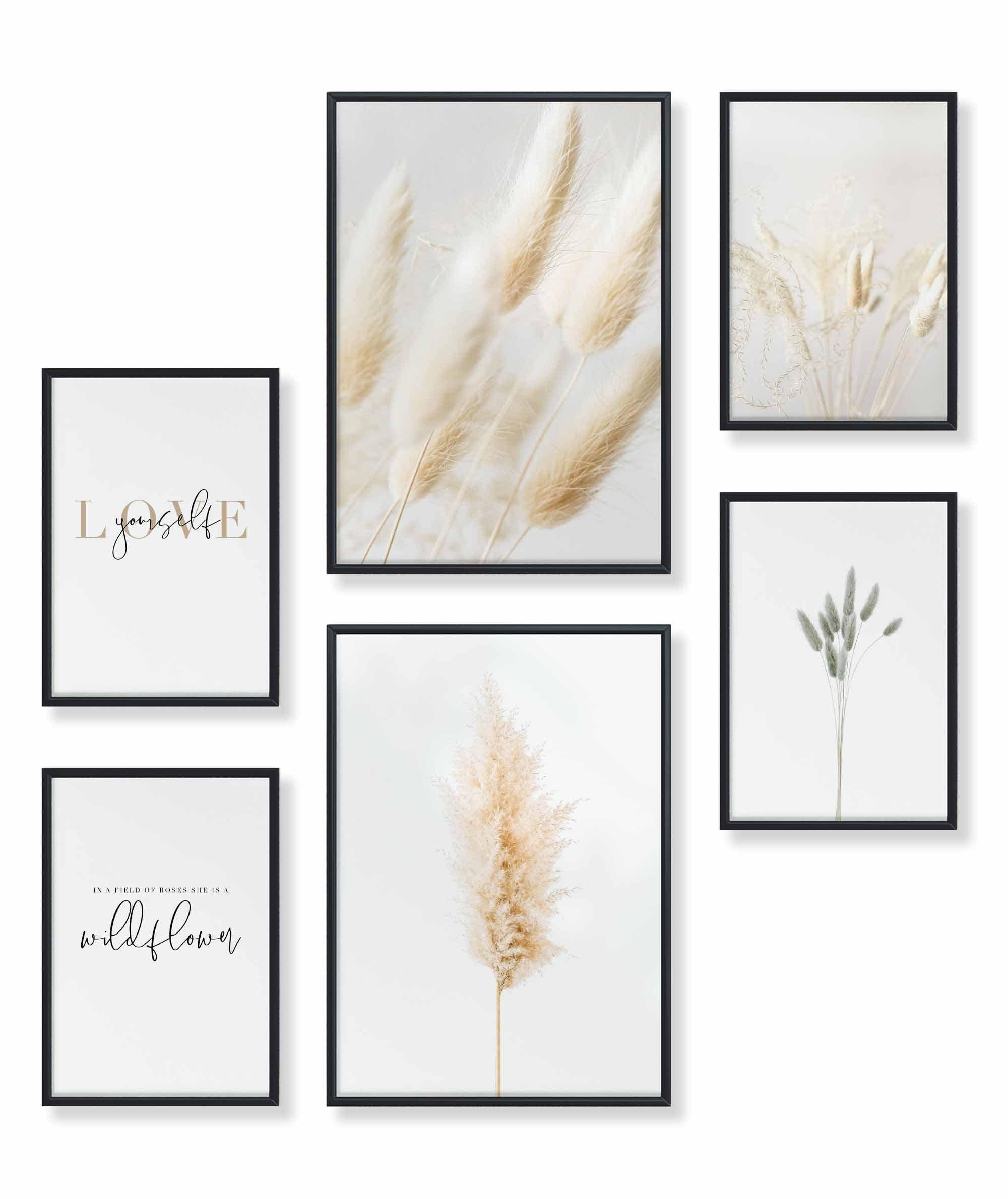 Pampas Gras