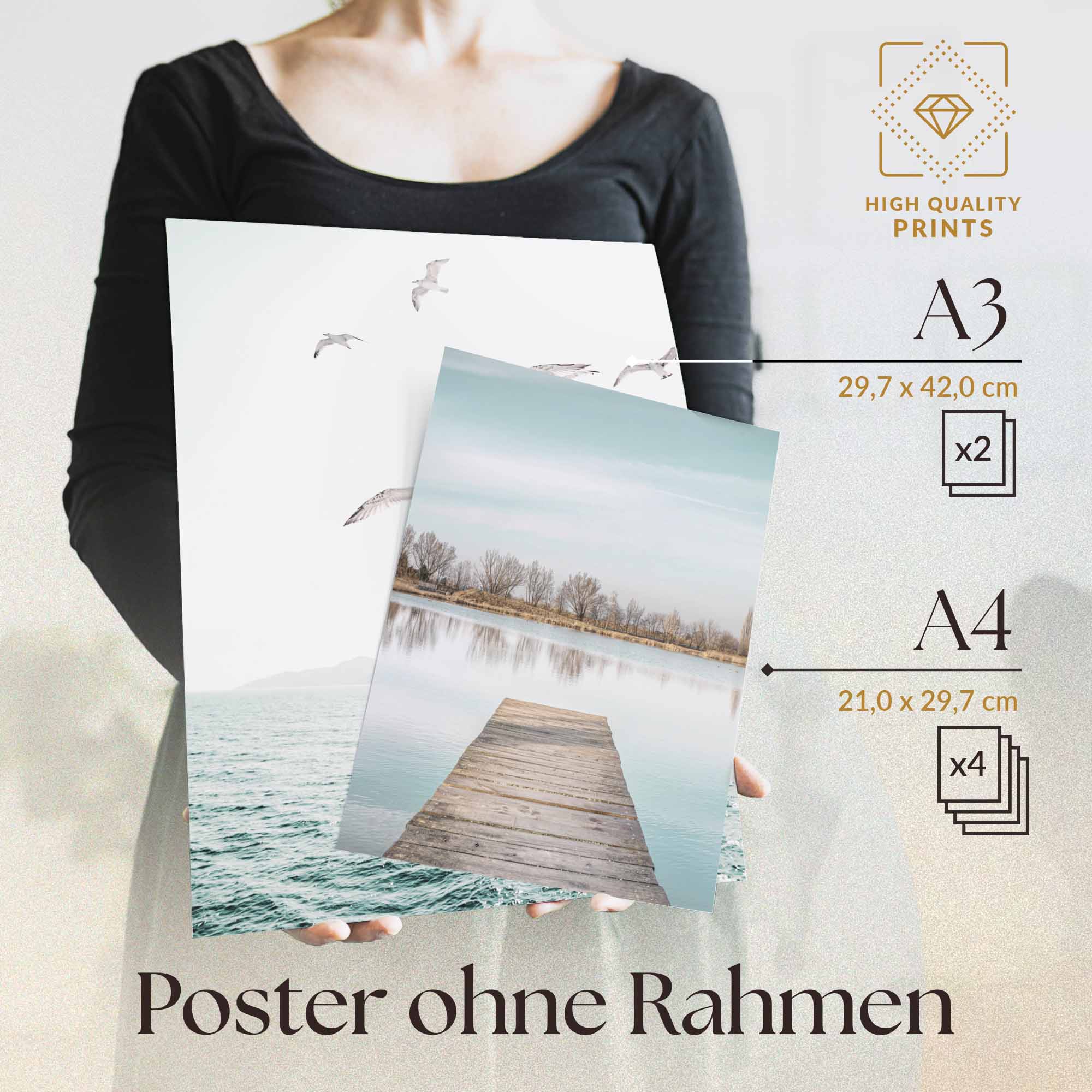 Skandi Meer Strand Möwen