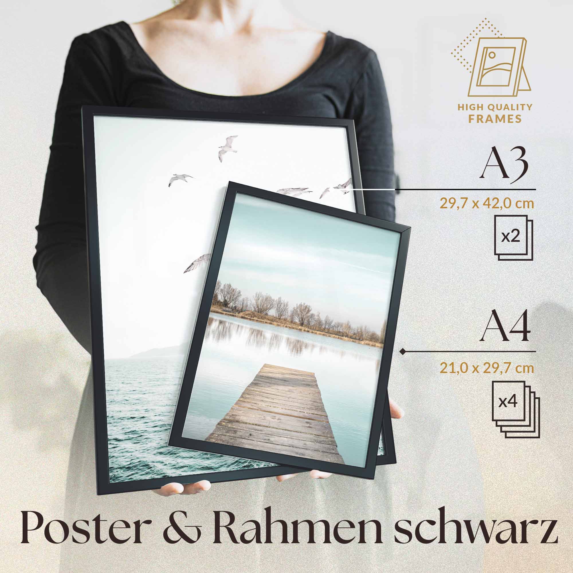 Skandi Meer Strand Möwen