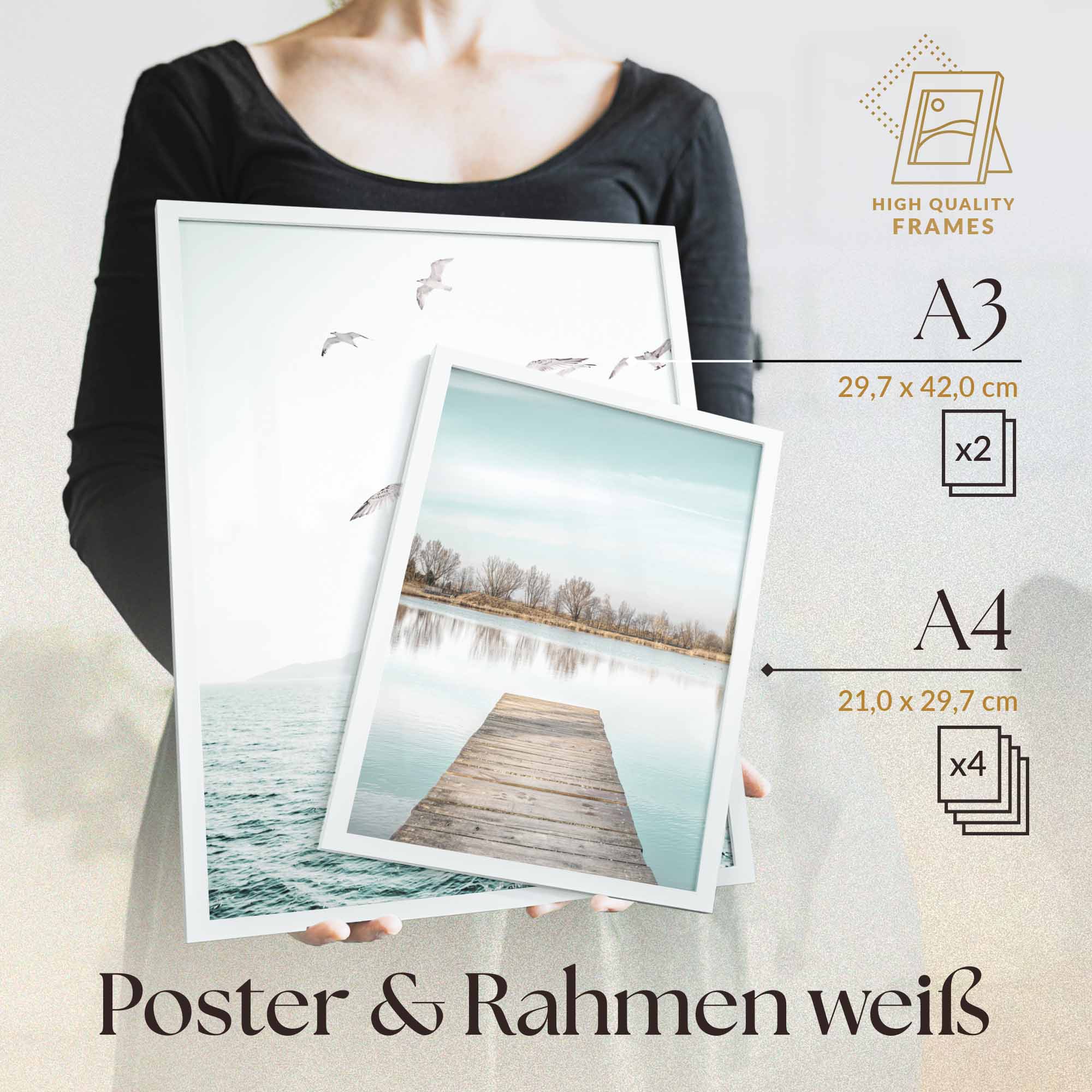 Skandi Meer Strand Möwen