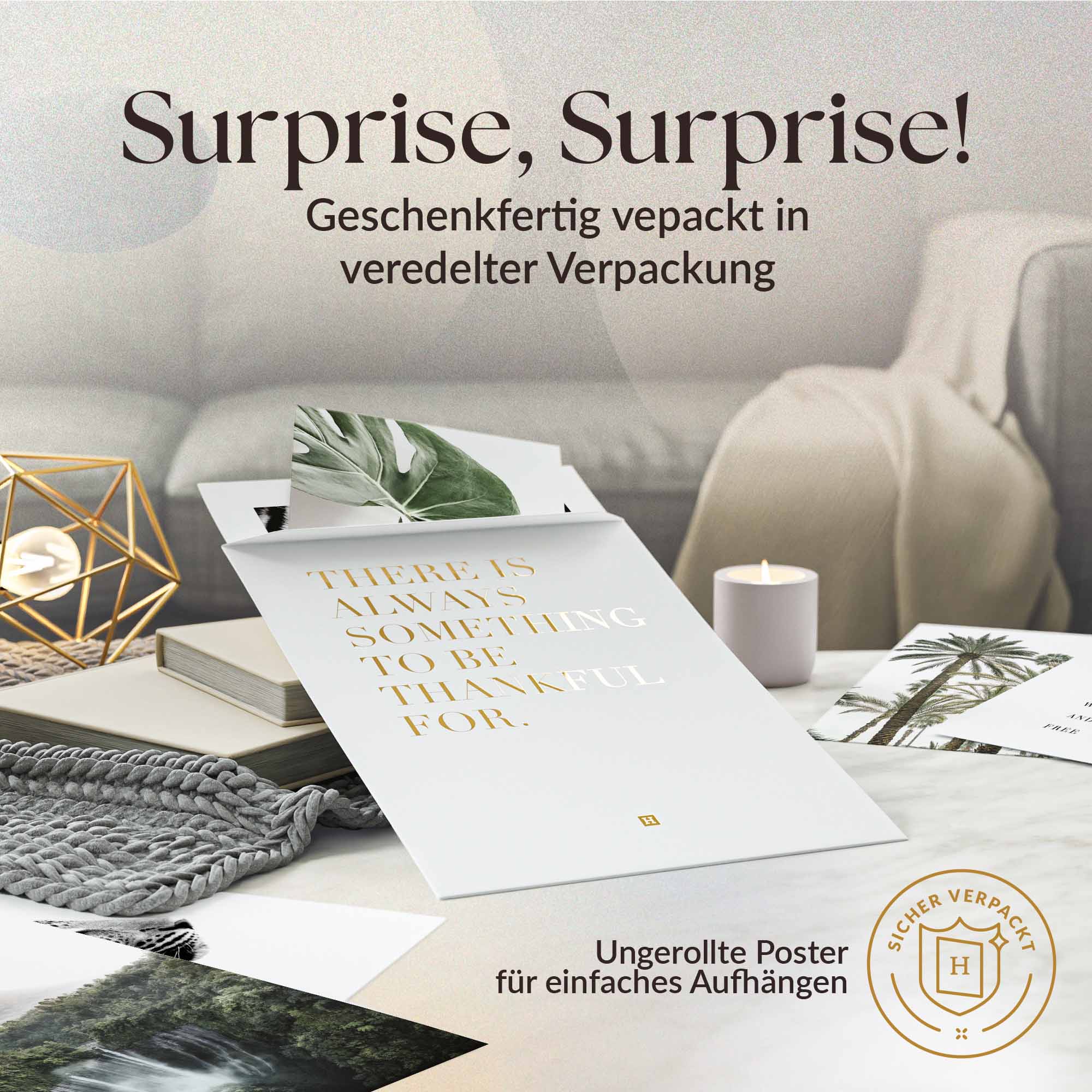 Natur Wald Wasserfall