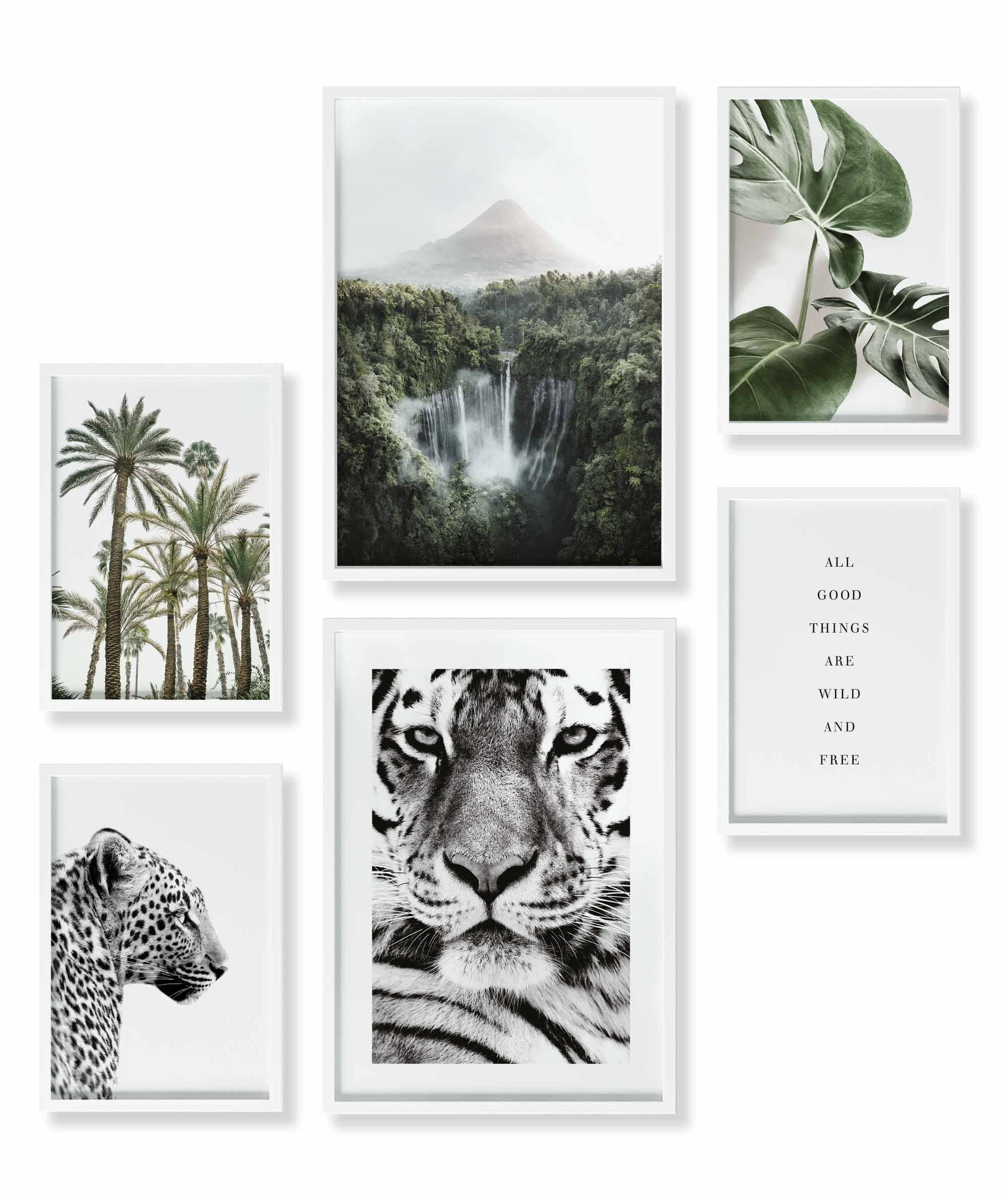 Natur Wald Wasserfall