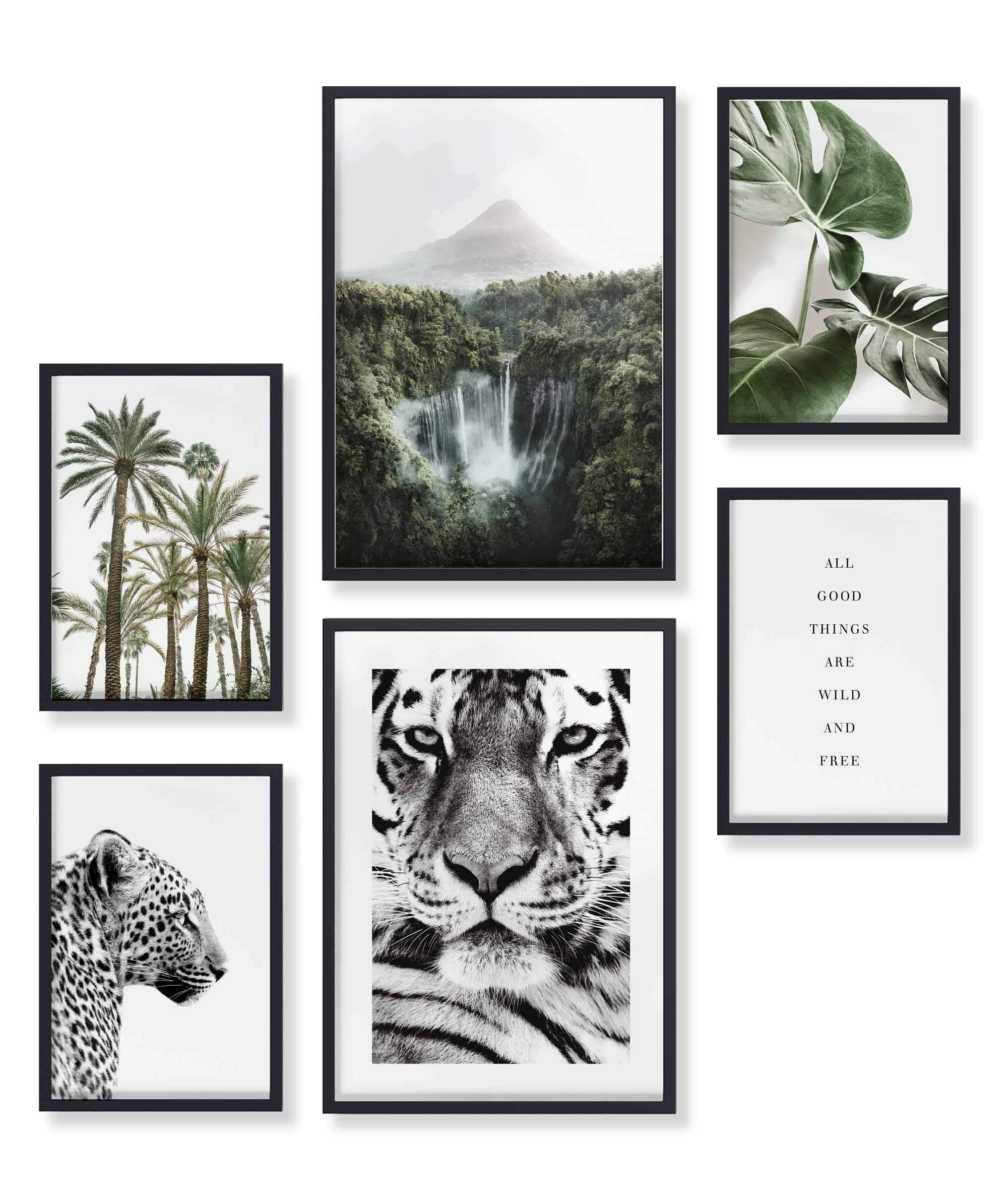 Natur Wald Wasserfall