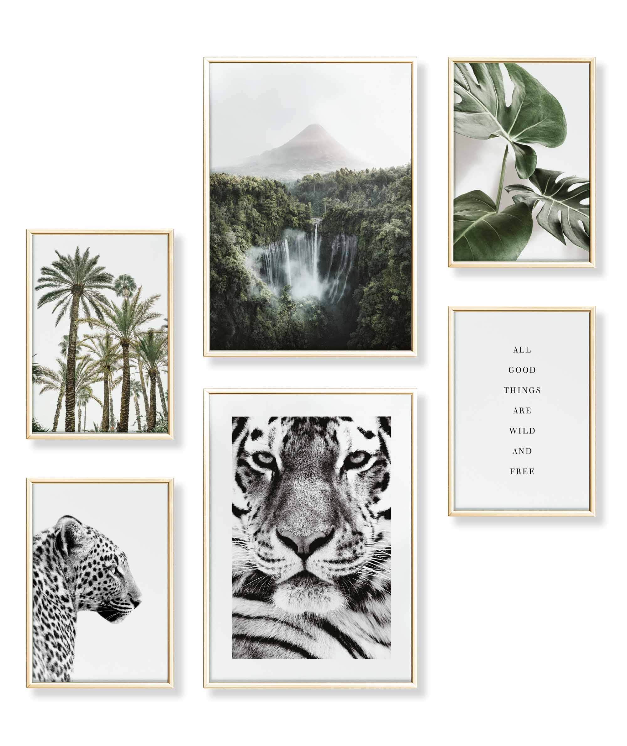 Natur Wald Wasserfall