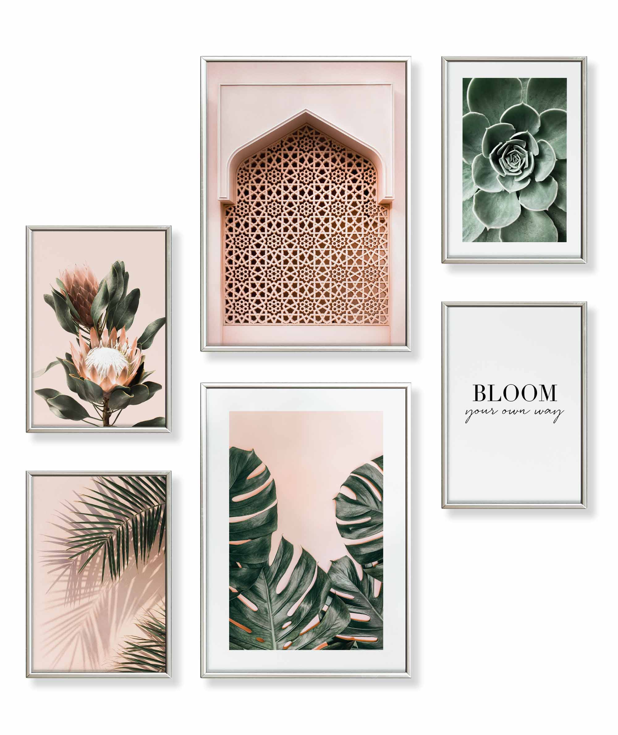 Pastell Monstera Pflanzen