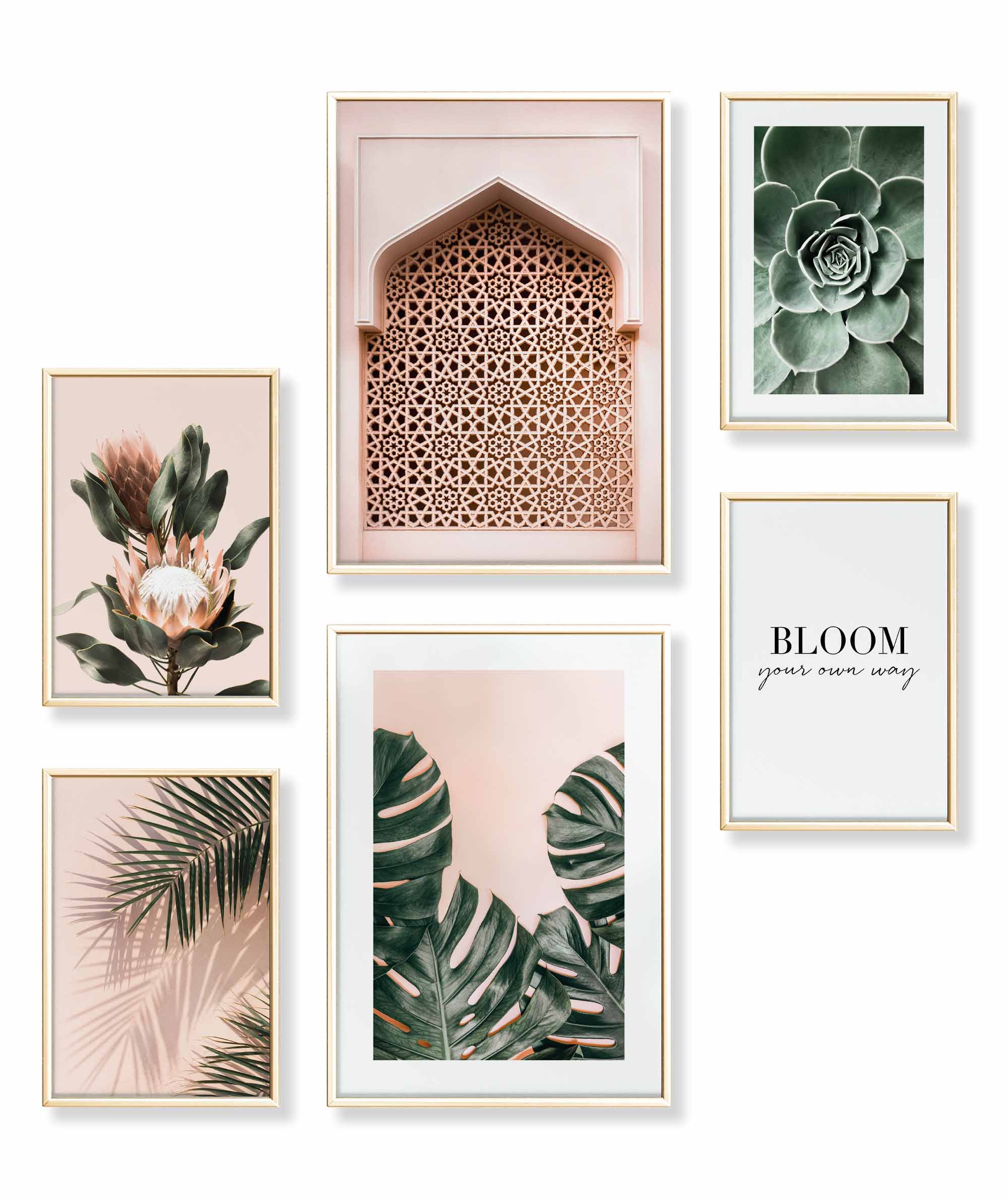 Pastell Monstera Pflanzen