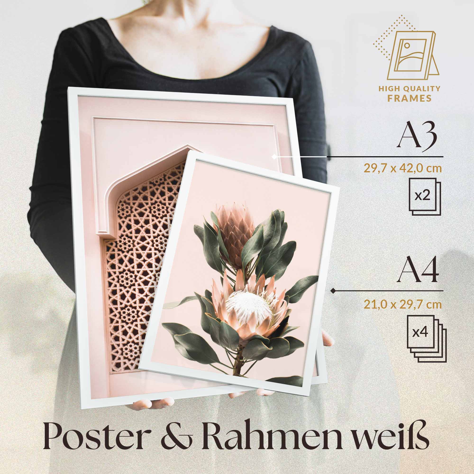 Pastell Monstera Pflanzen