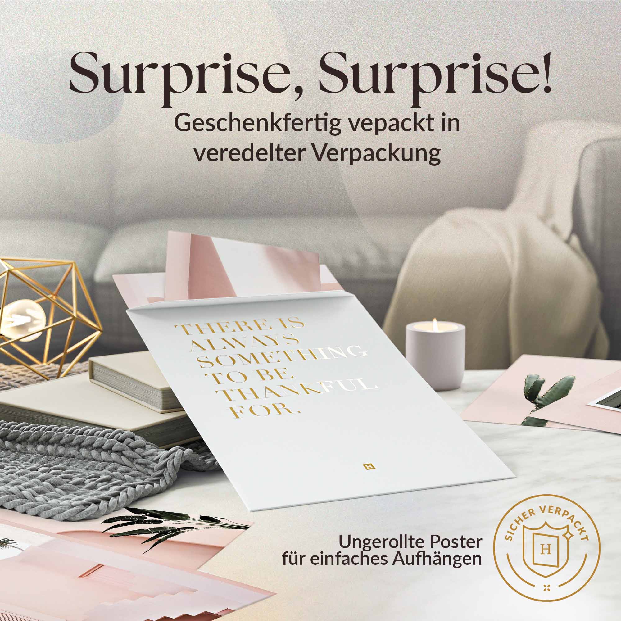 Architektur Pink Kaktus