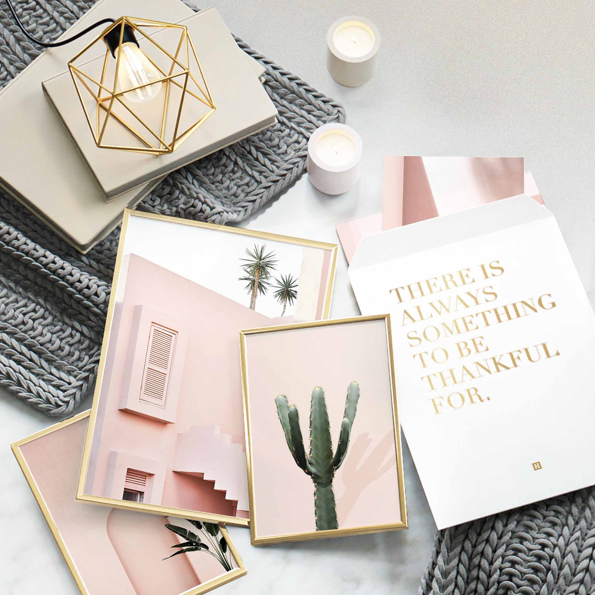 Architektur Pink Kaktus