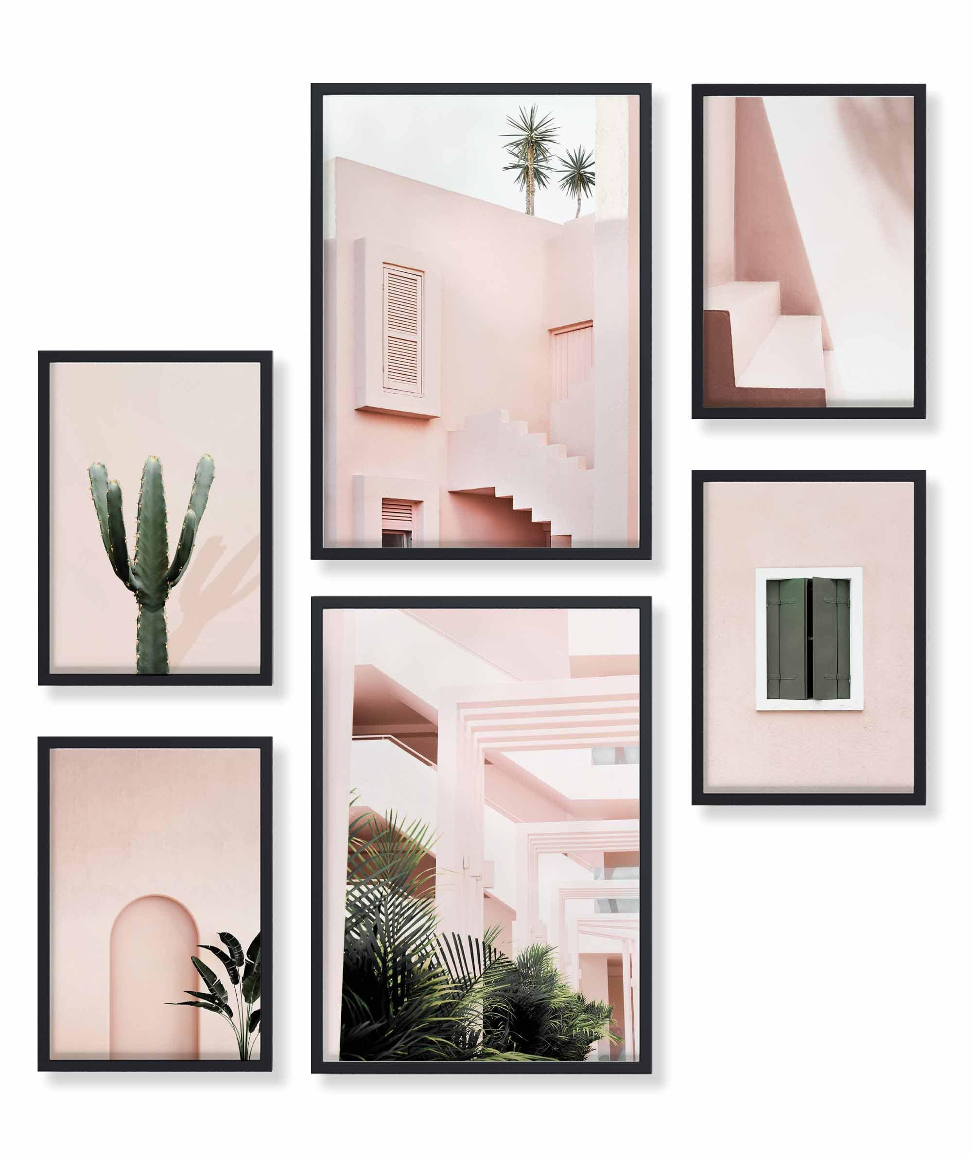 Architektur Pink Kaktus