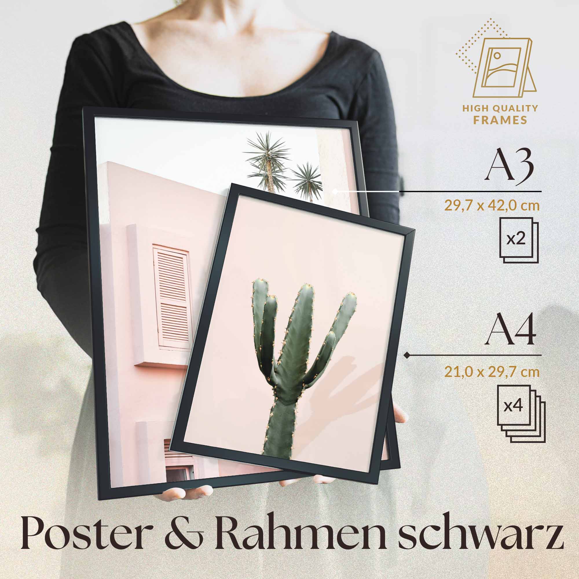 Architektur Pink Kaktus