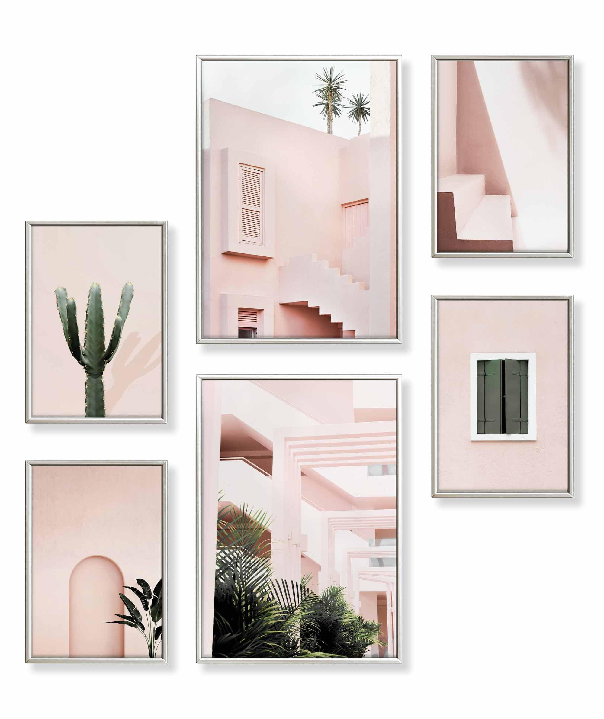 Architektur Pink Kaktus