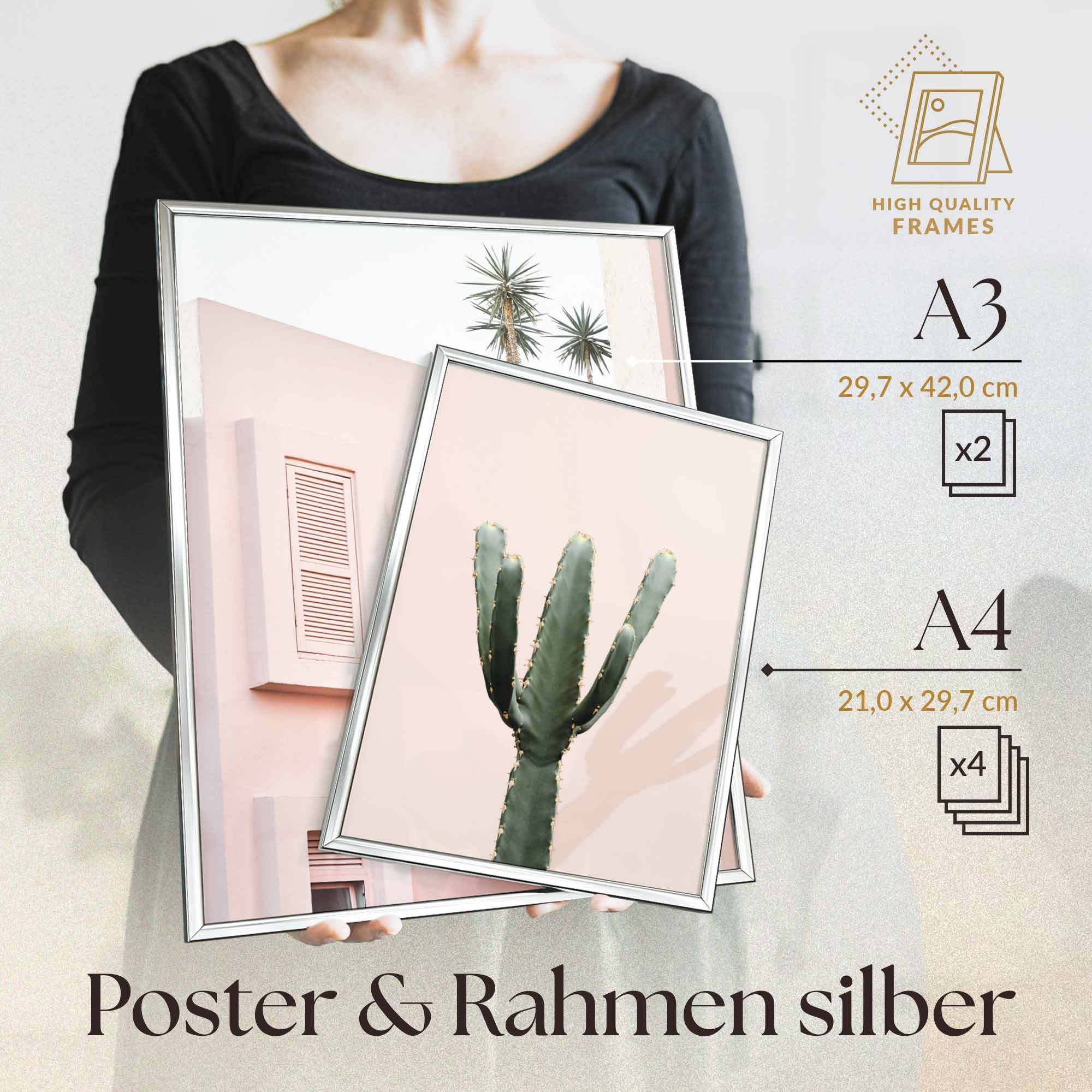 Architektur Pink Kaktus