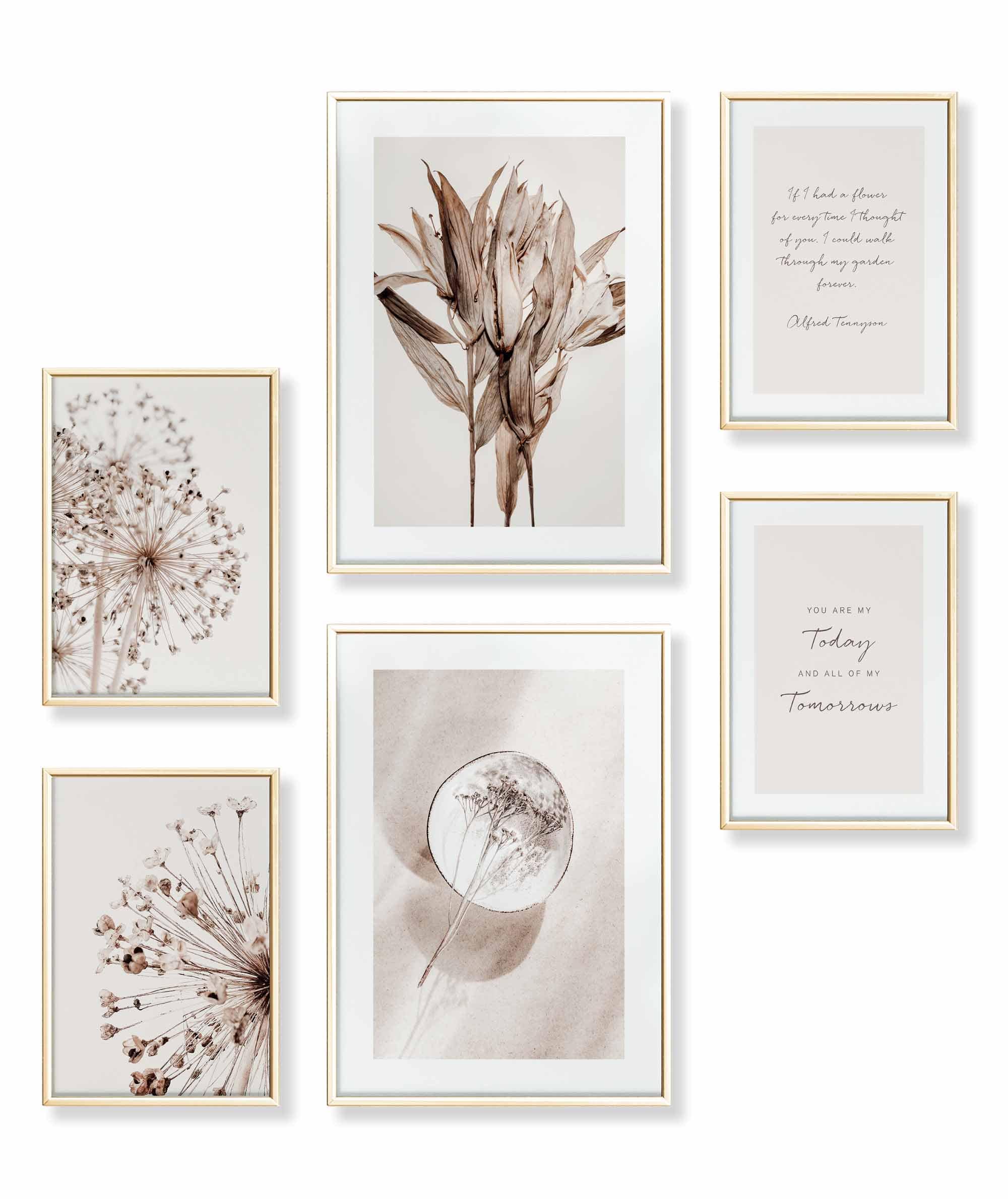 Beige Blume Braun