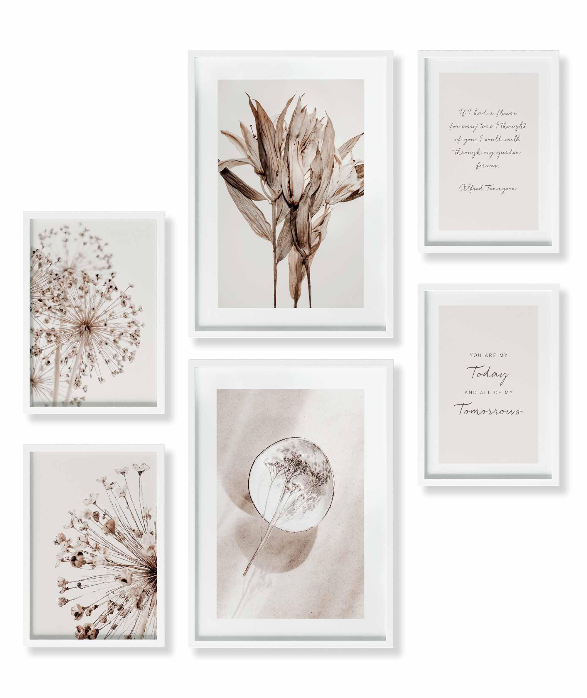 Beige Blume Braun