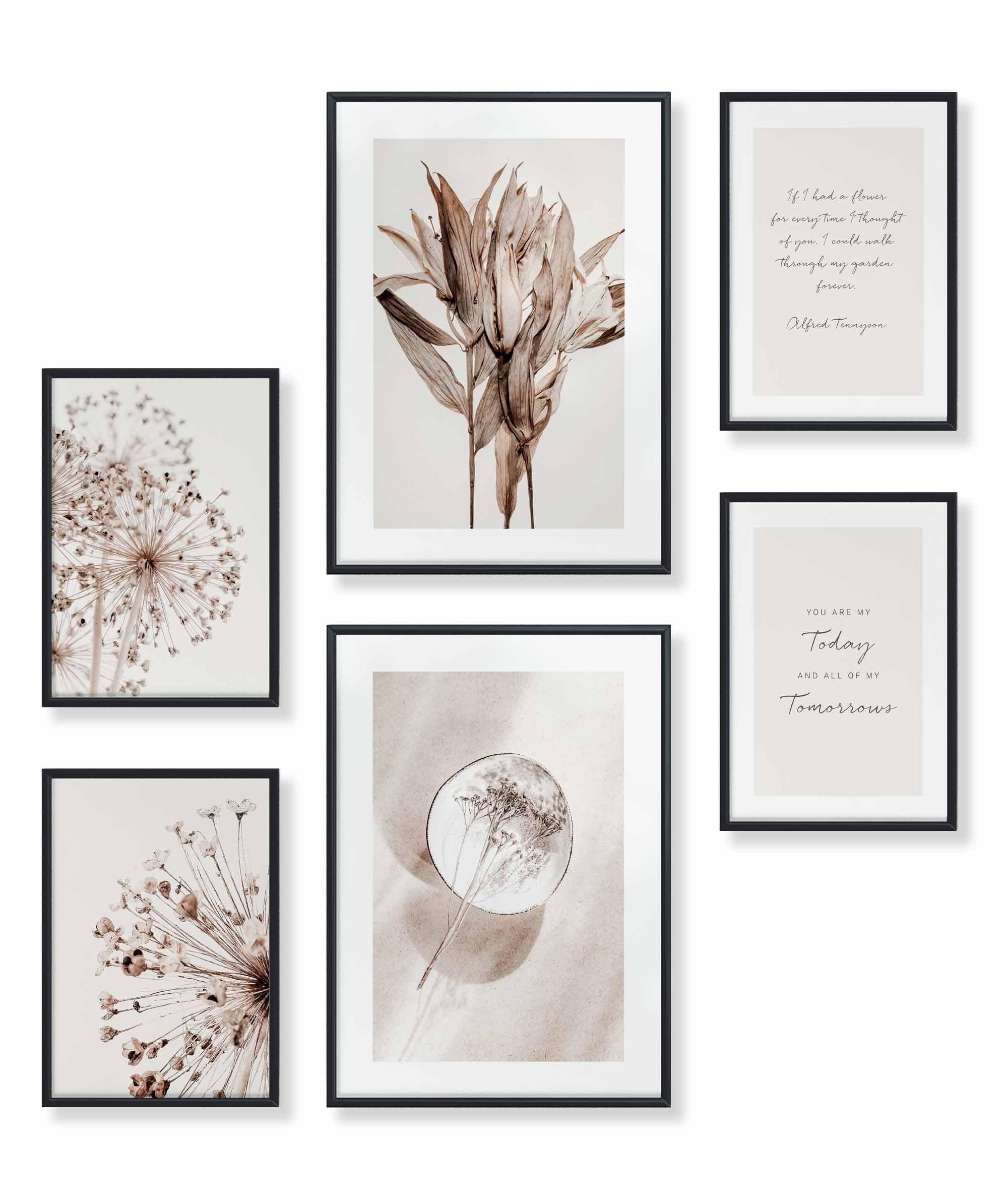 Beige Blume Braun