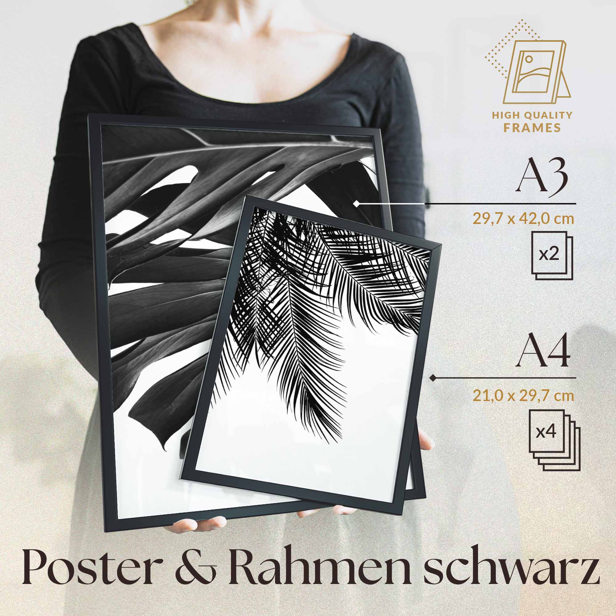 Monstera Schwarz-Weiss