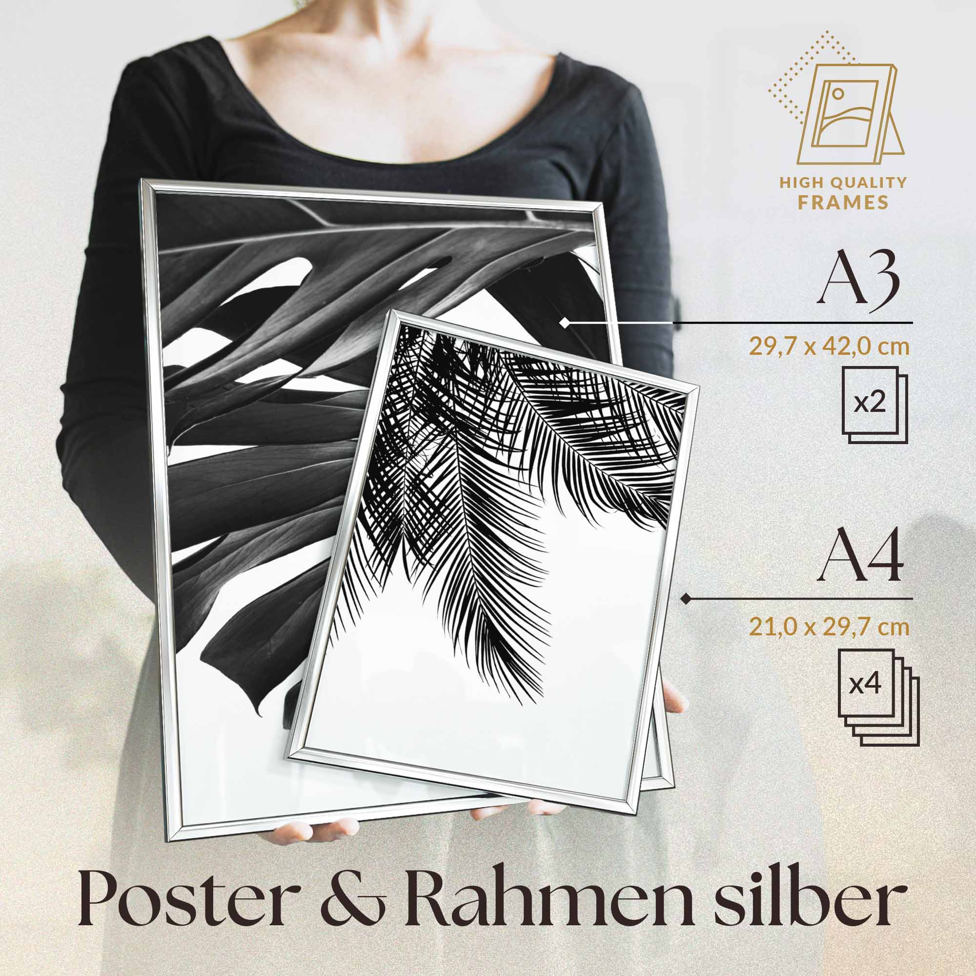 Monstera Schwarz-Weiss