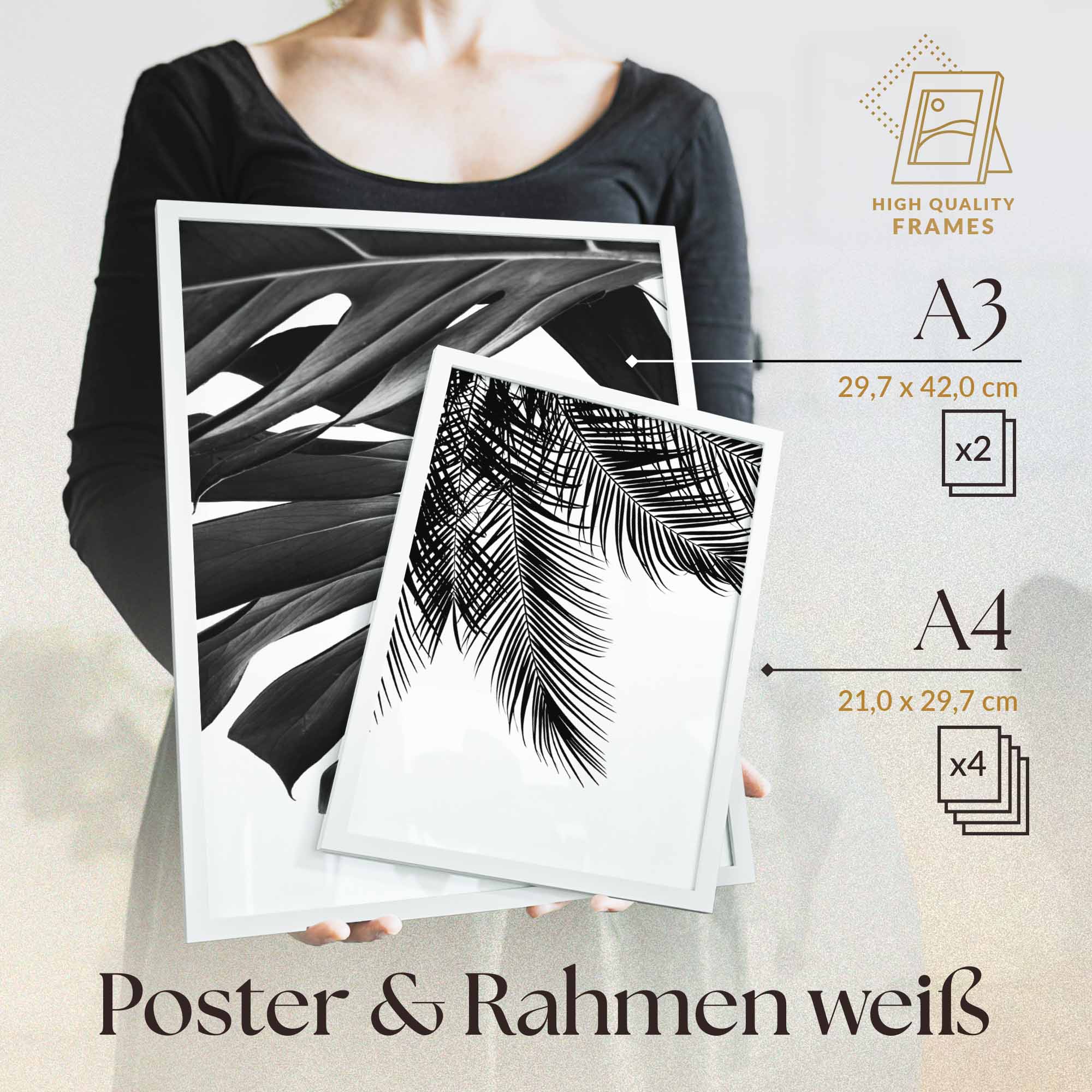 Monstera Schwarz-Weiss