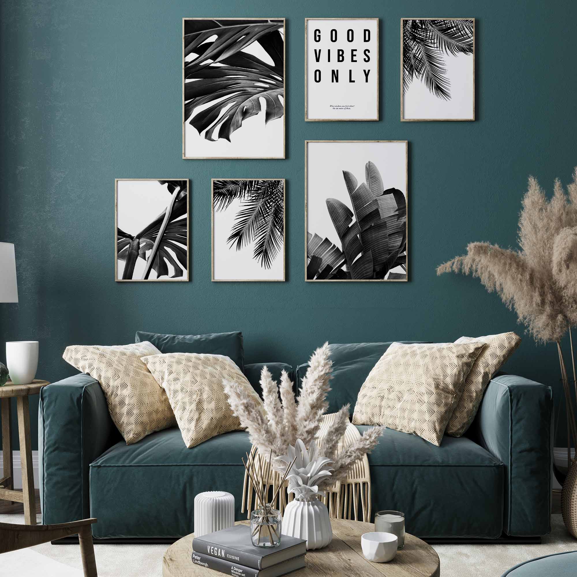 Monstera Schwarz-Weiss