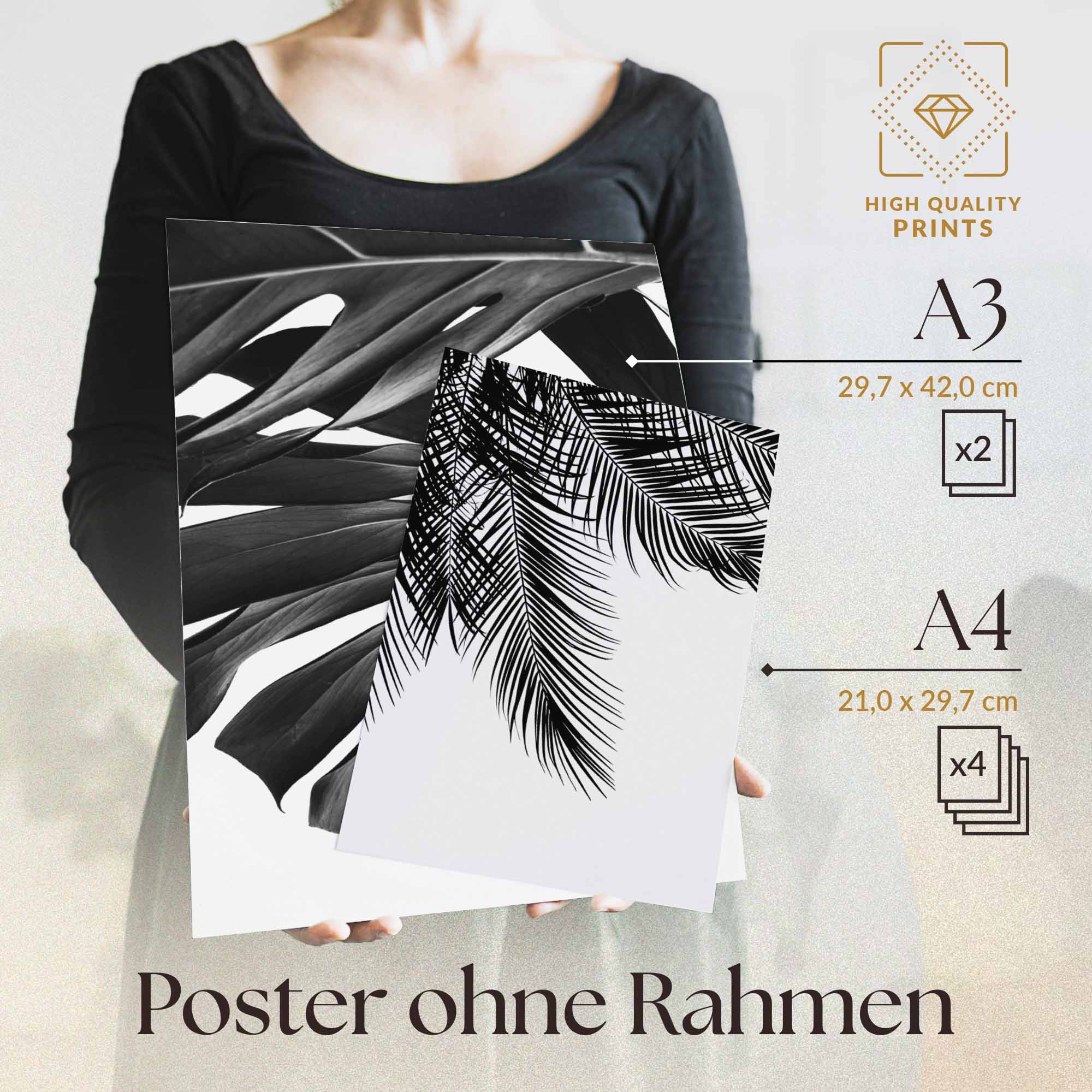 Monstera Schwarz-Weiss