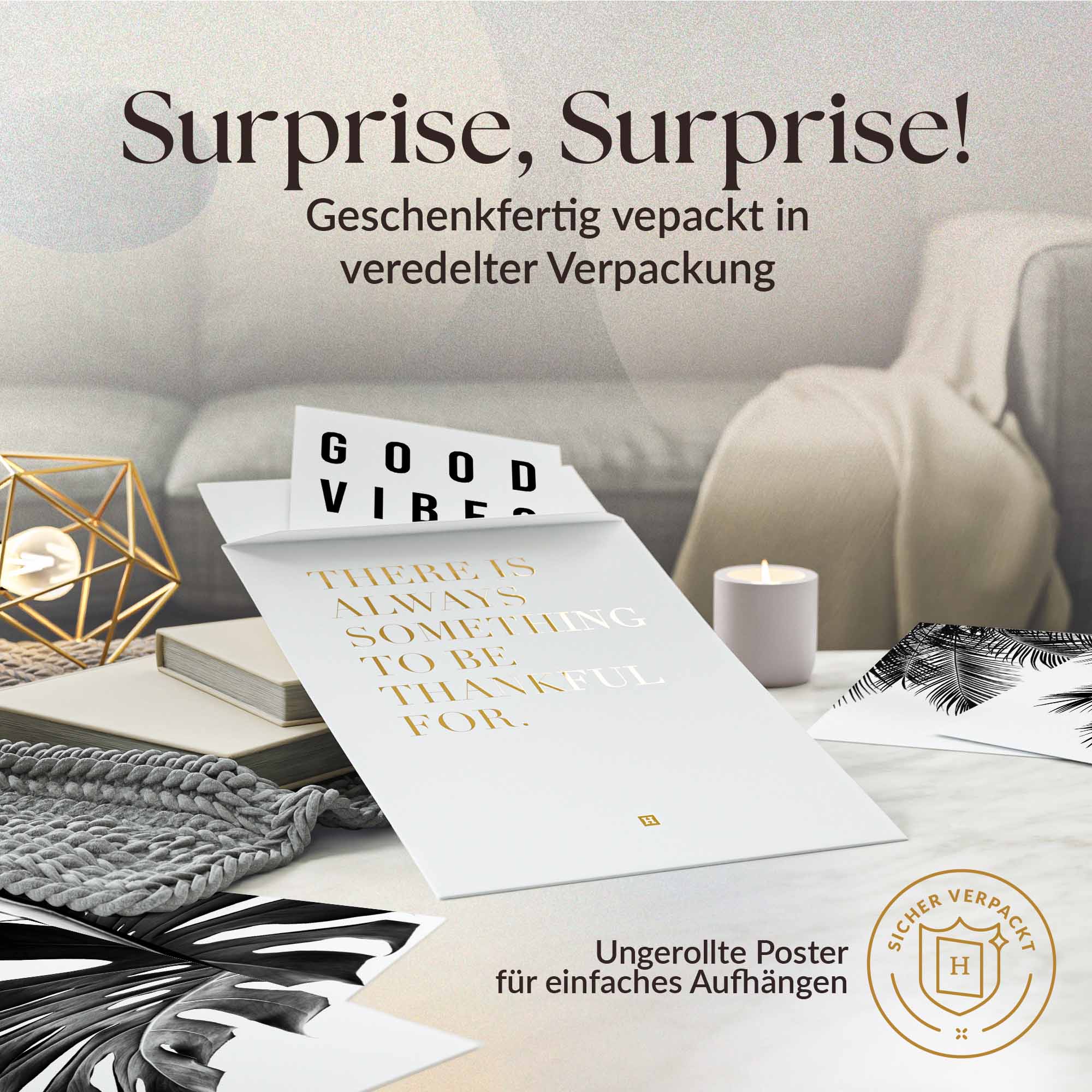 Monstera Schwarz-Weiss