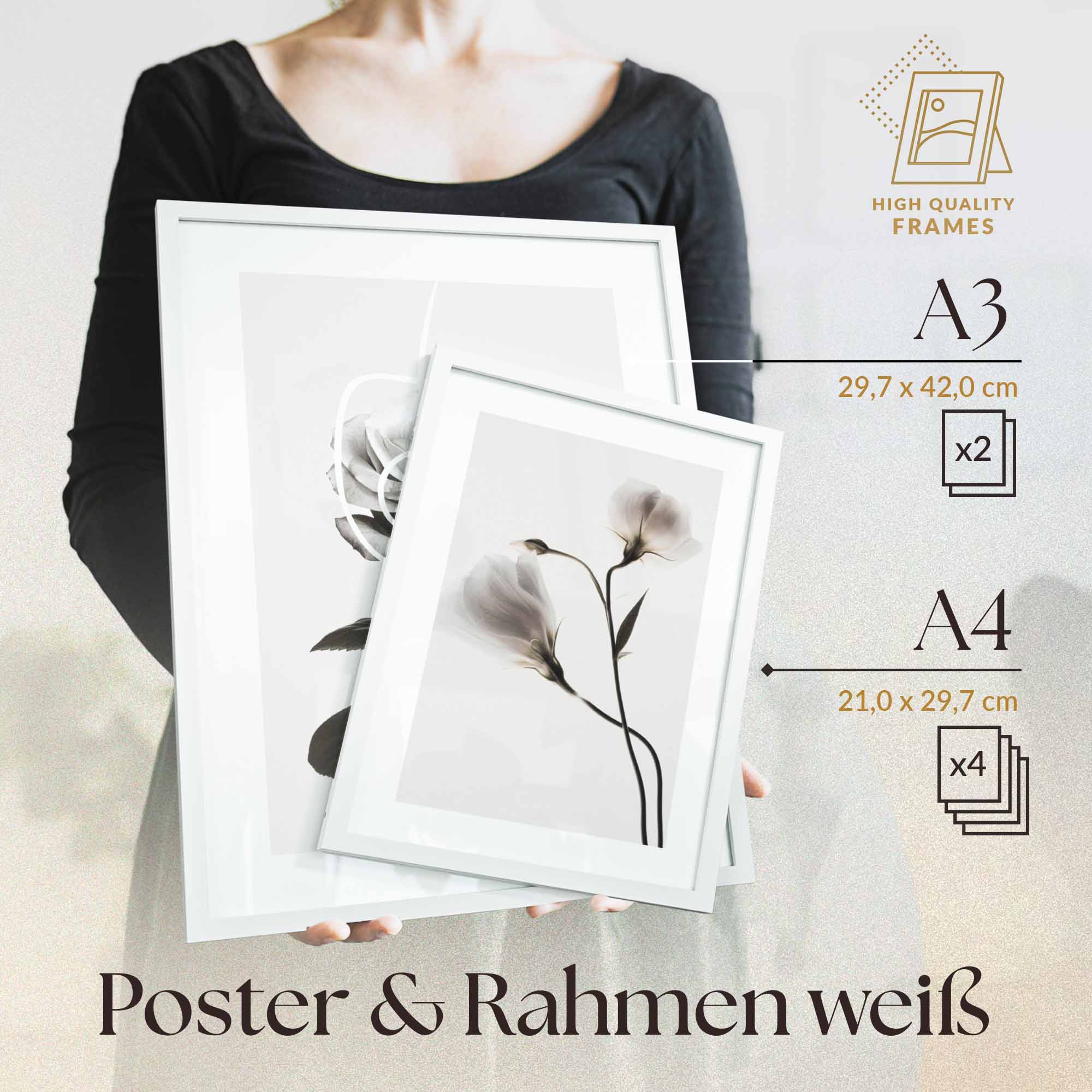 Schwarz Weiss Architektur