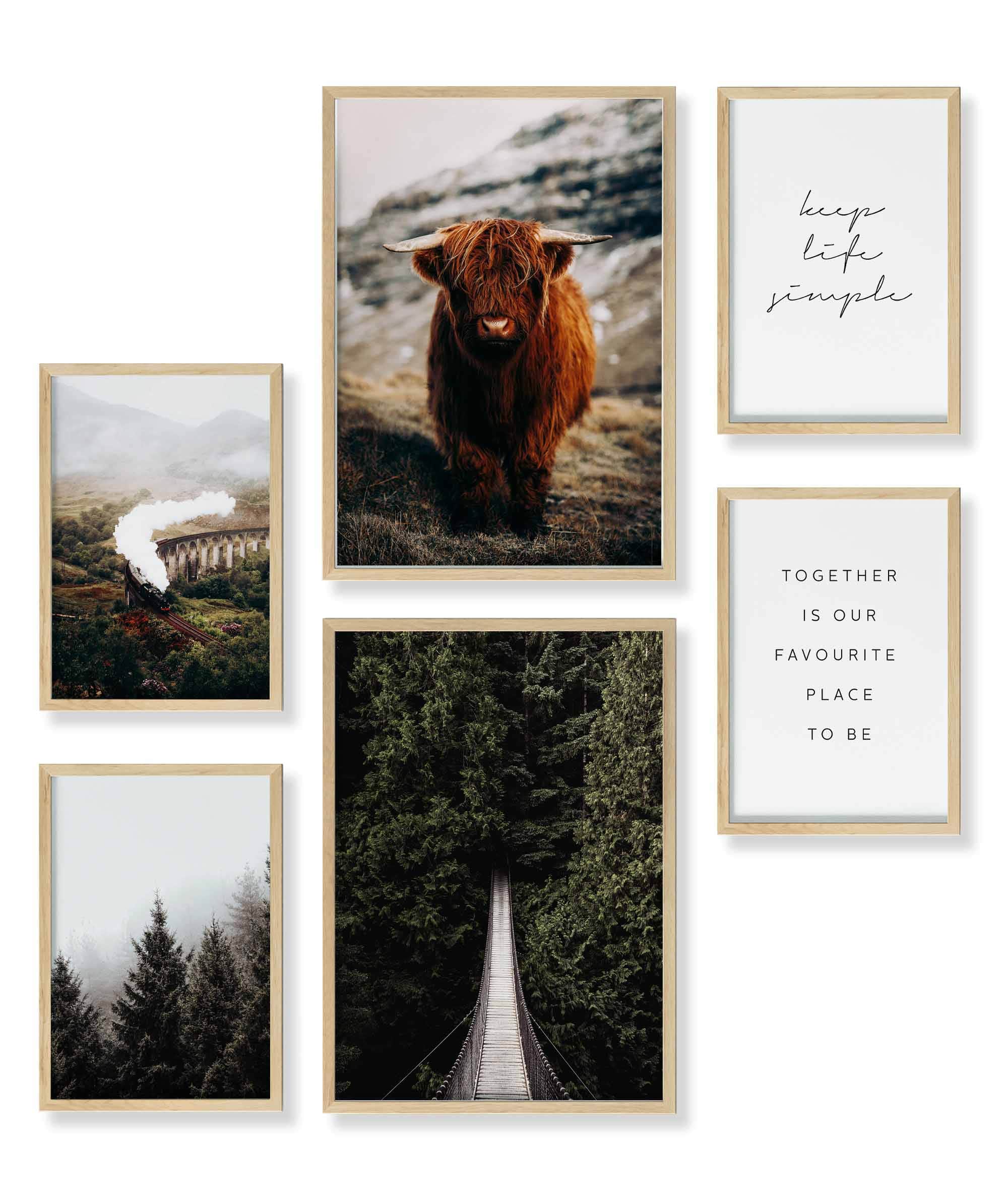 Highland & Forest