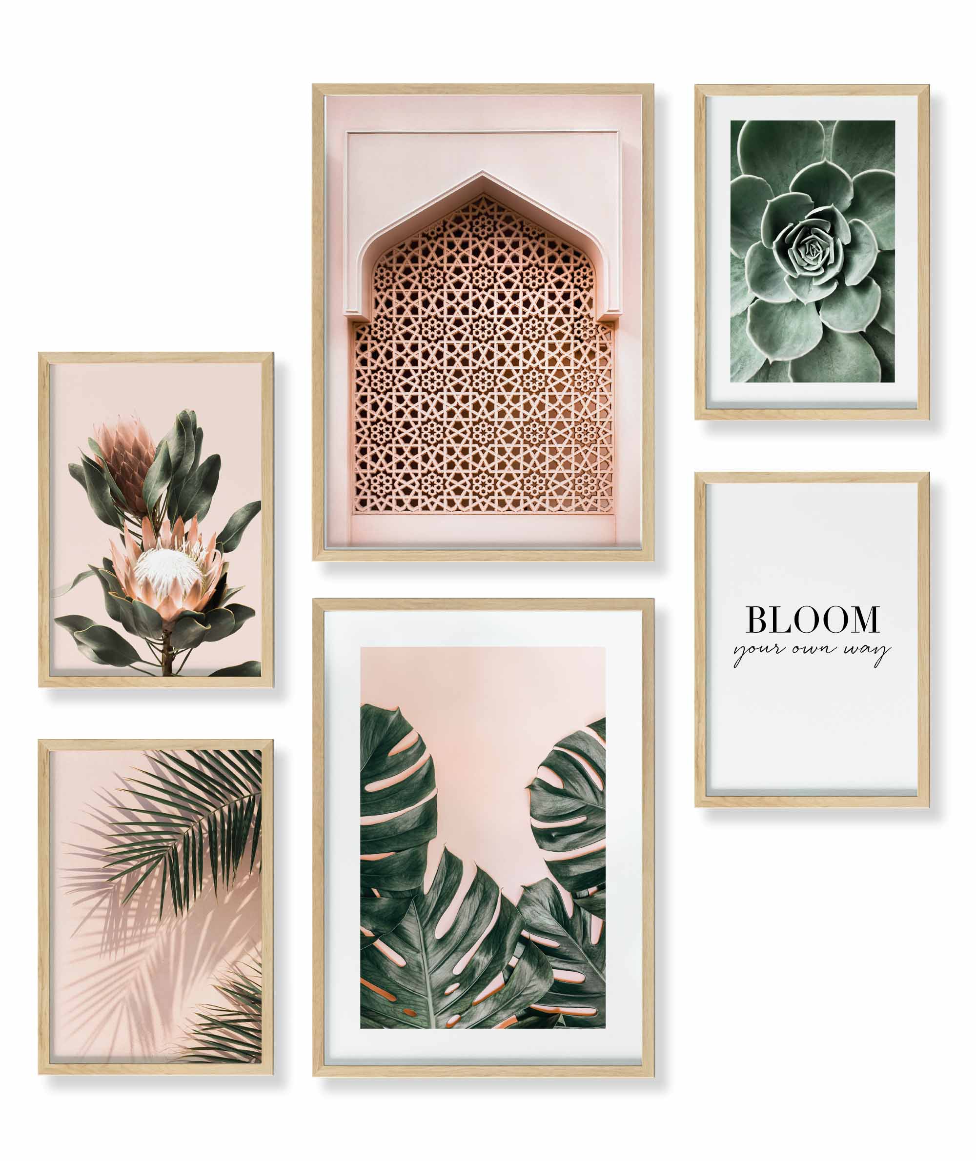 Pastell Monstera Pflanzen