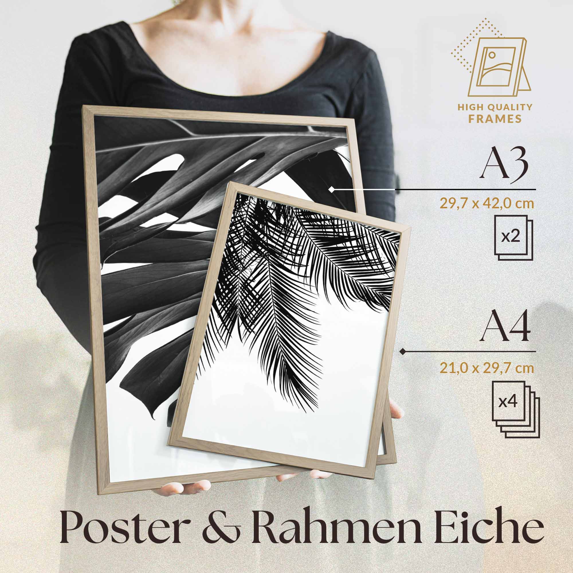 Monstera Schwarz-Weiss