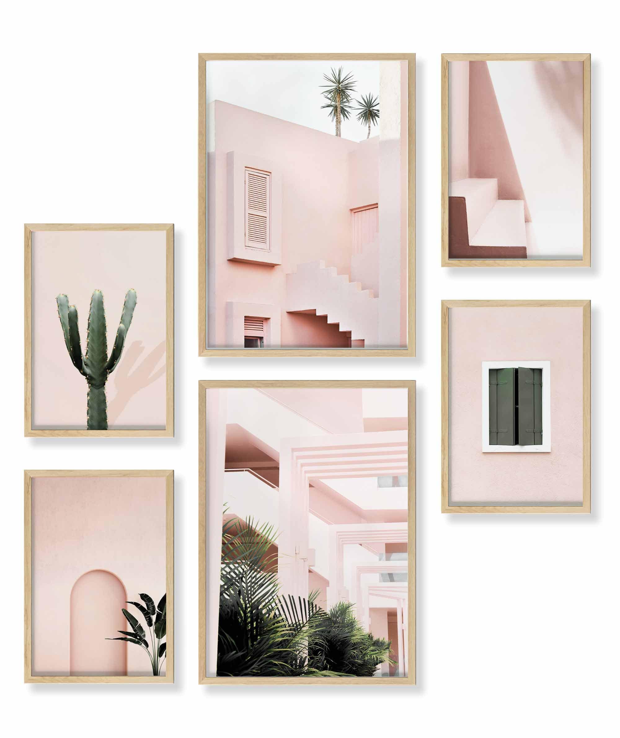 Architektur Pink Kaktus