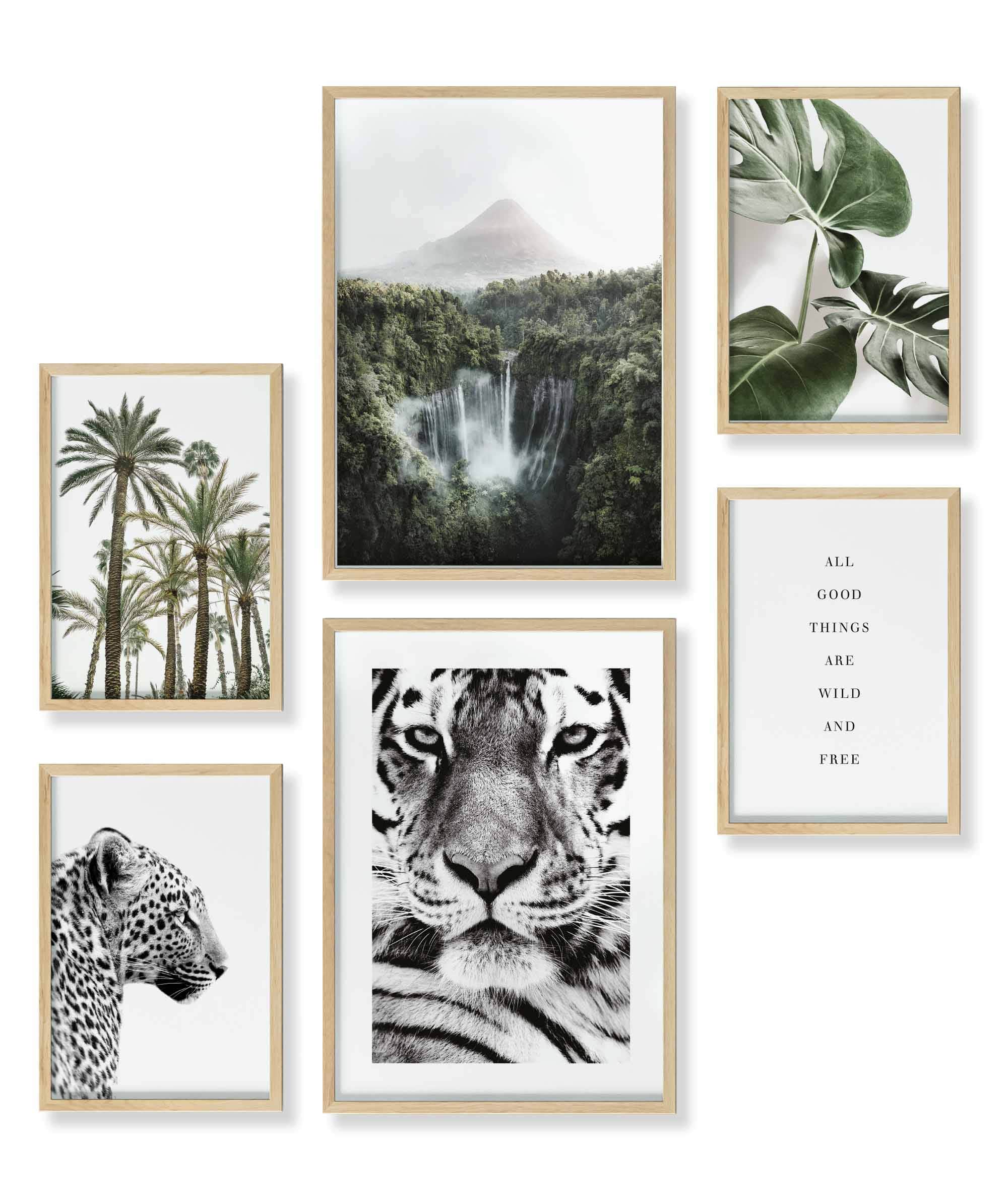 Natur Wald Wasserfall