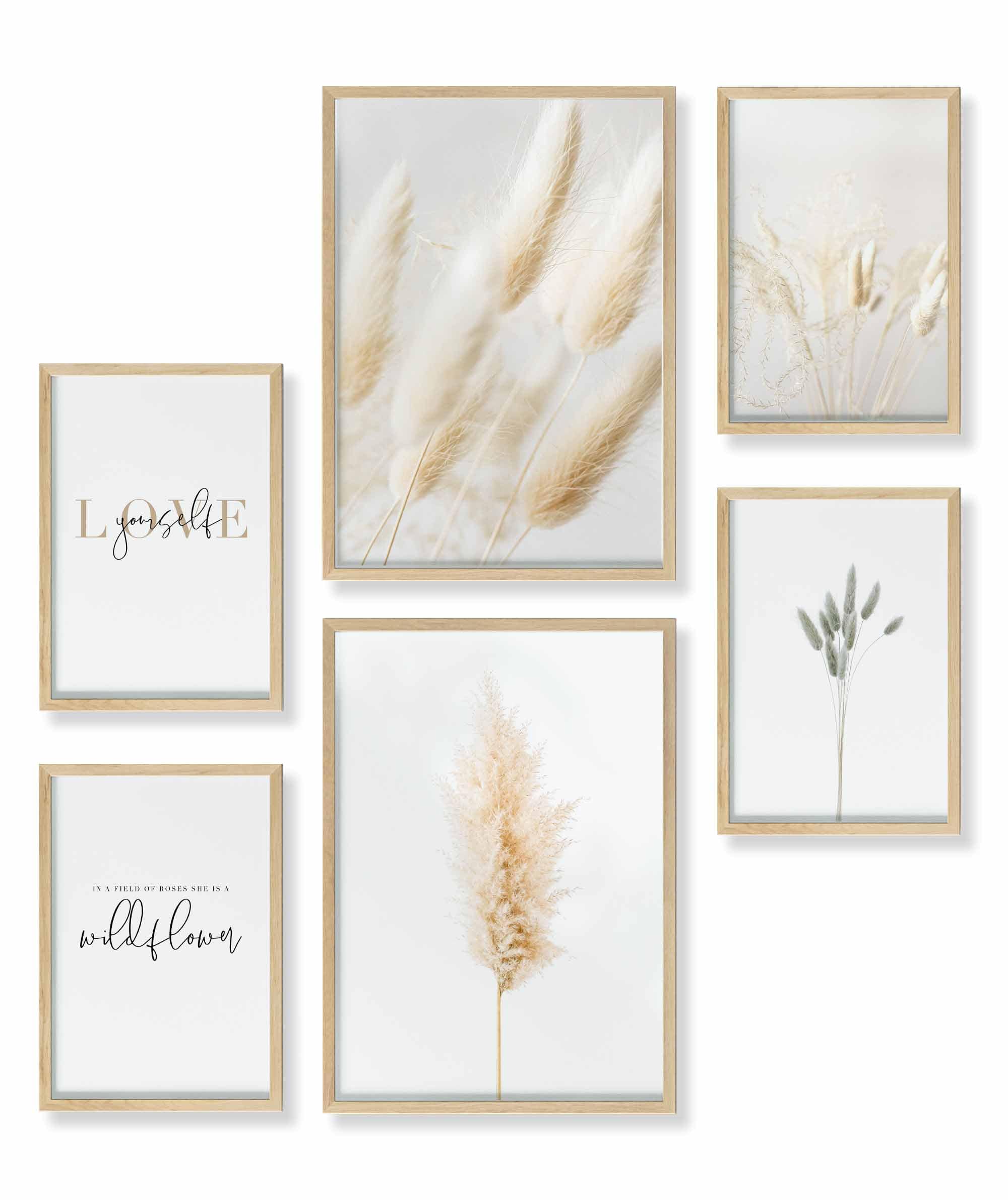 Pampas Gras