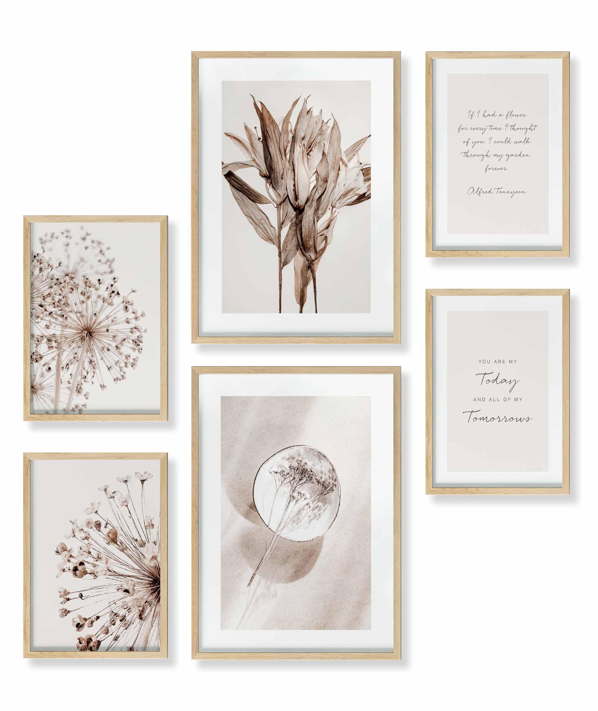 Beige Blume Braun