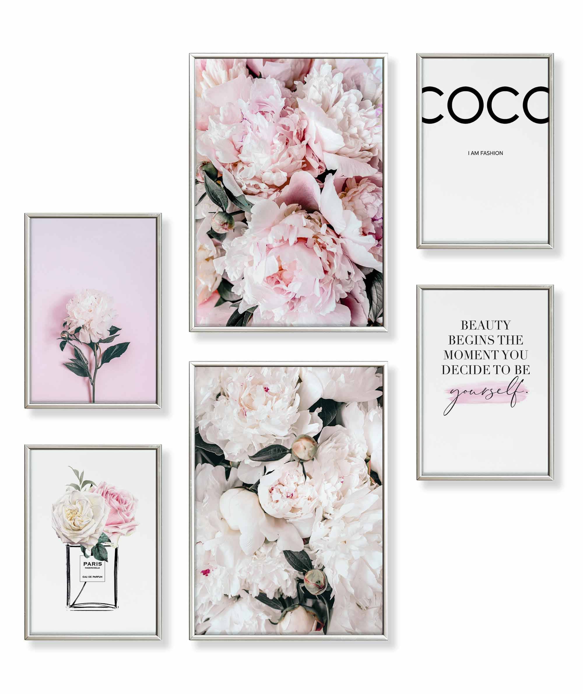 Pfingst-Rose Coco