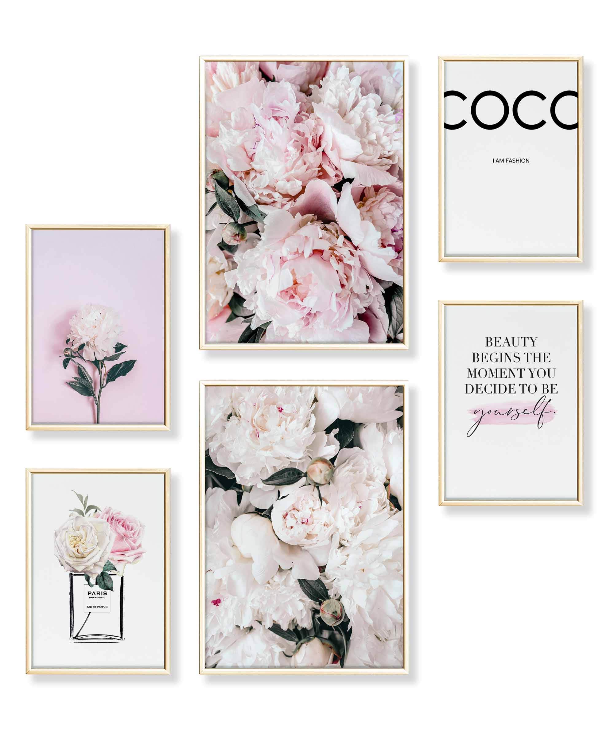 Pfingst-Rose Coco